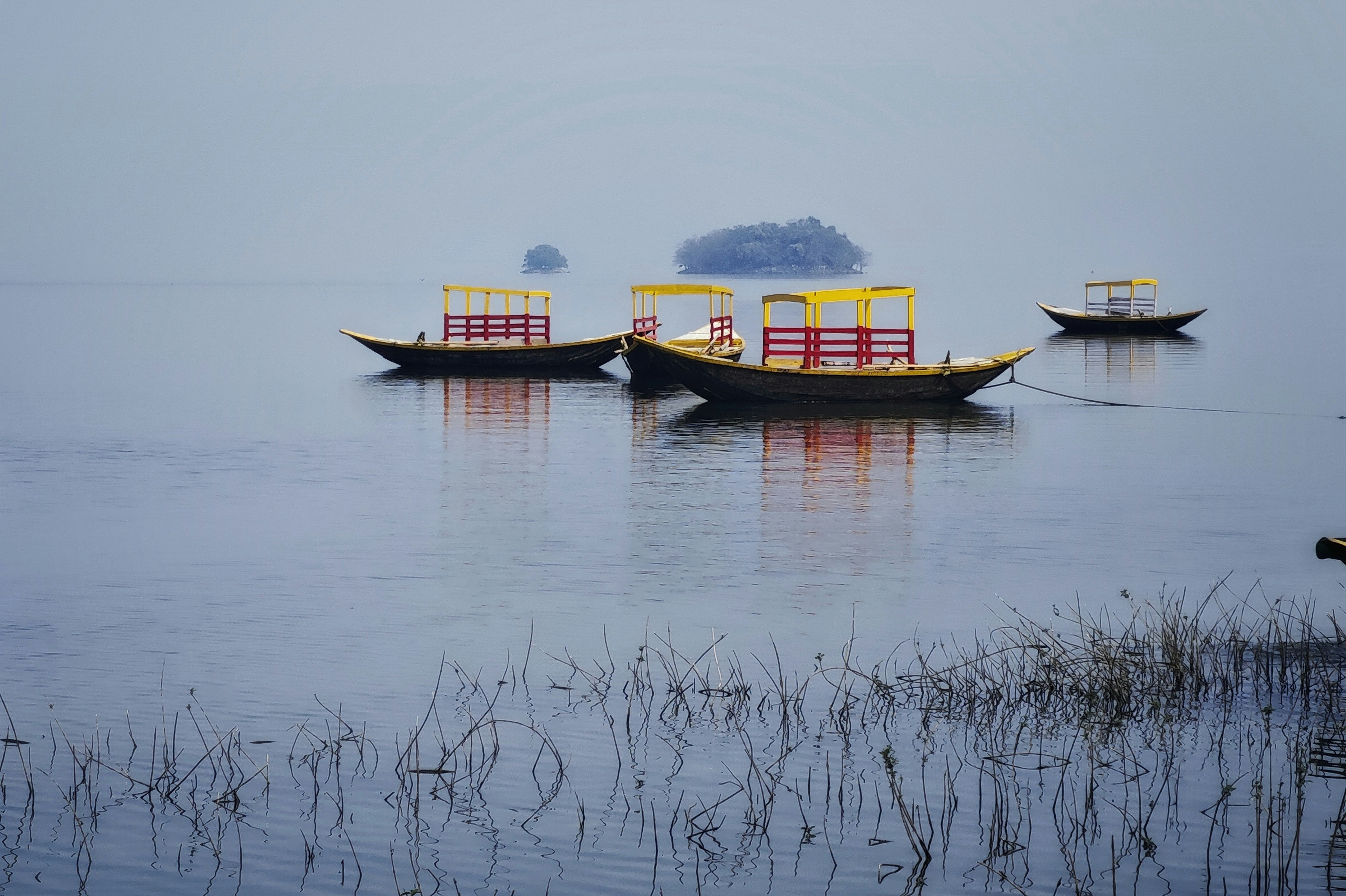 Photo by dibakar16roy