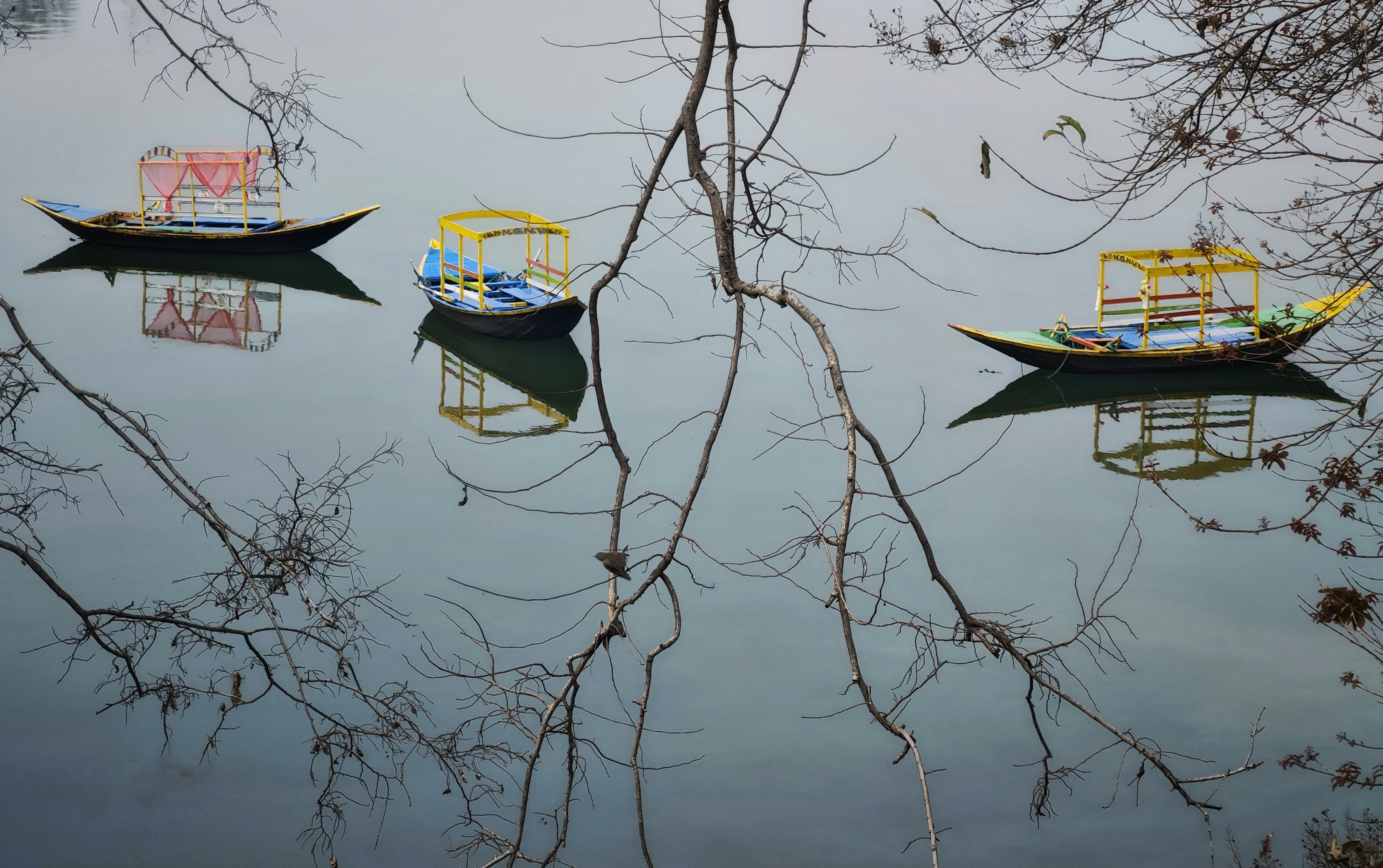 Photo by dibakar16roy