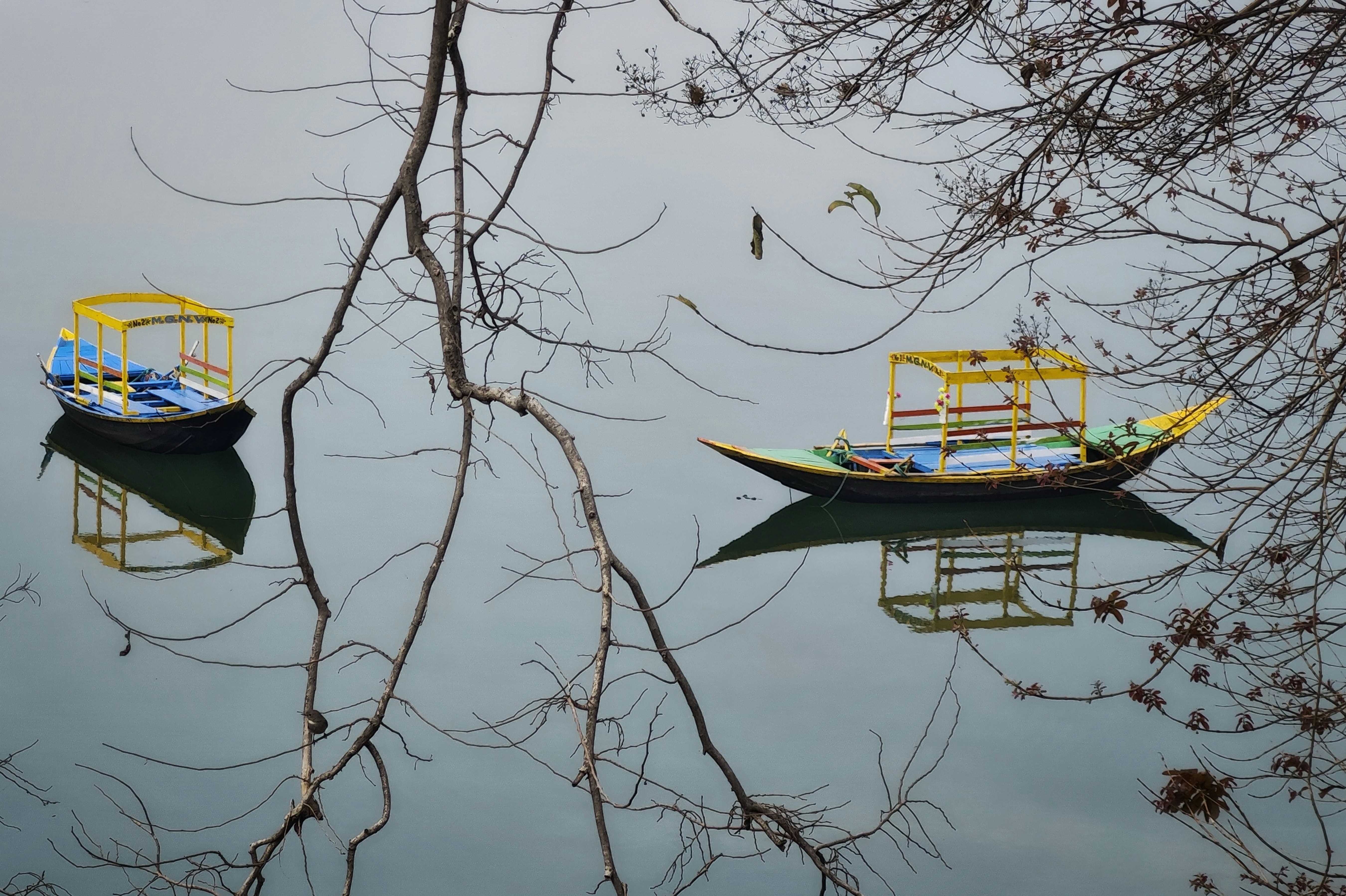 Photo by dibakar16roy