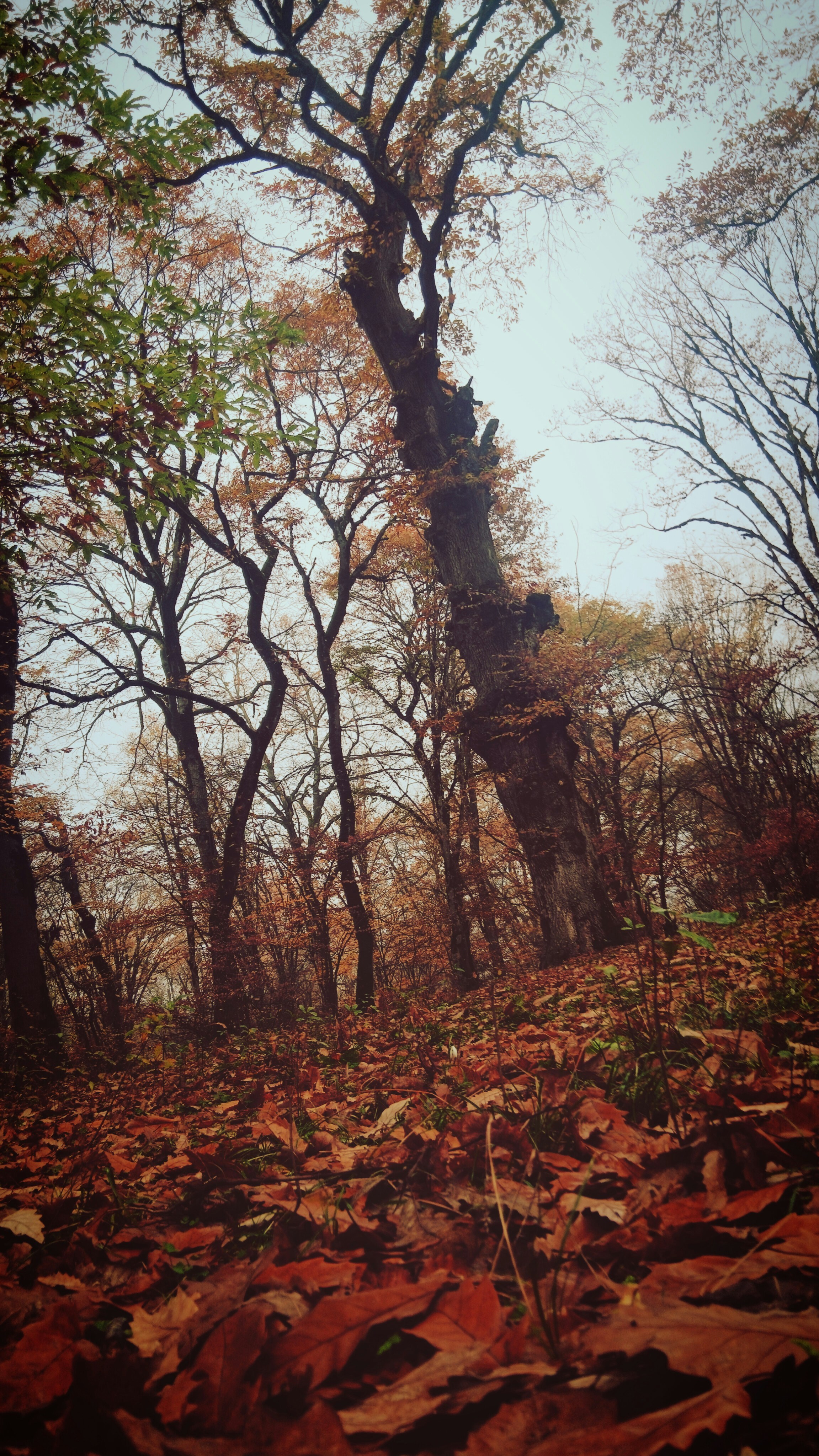 Photo by arman96