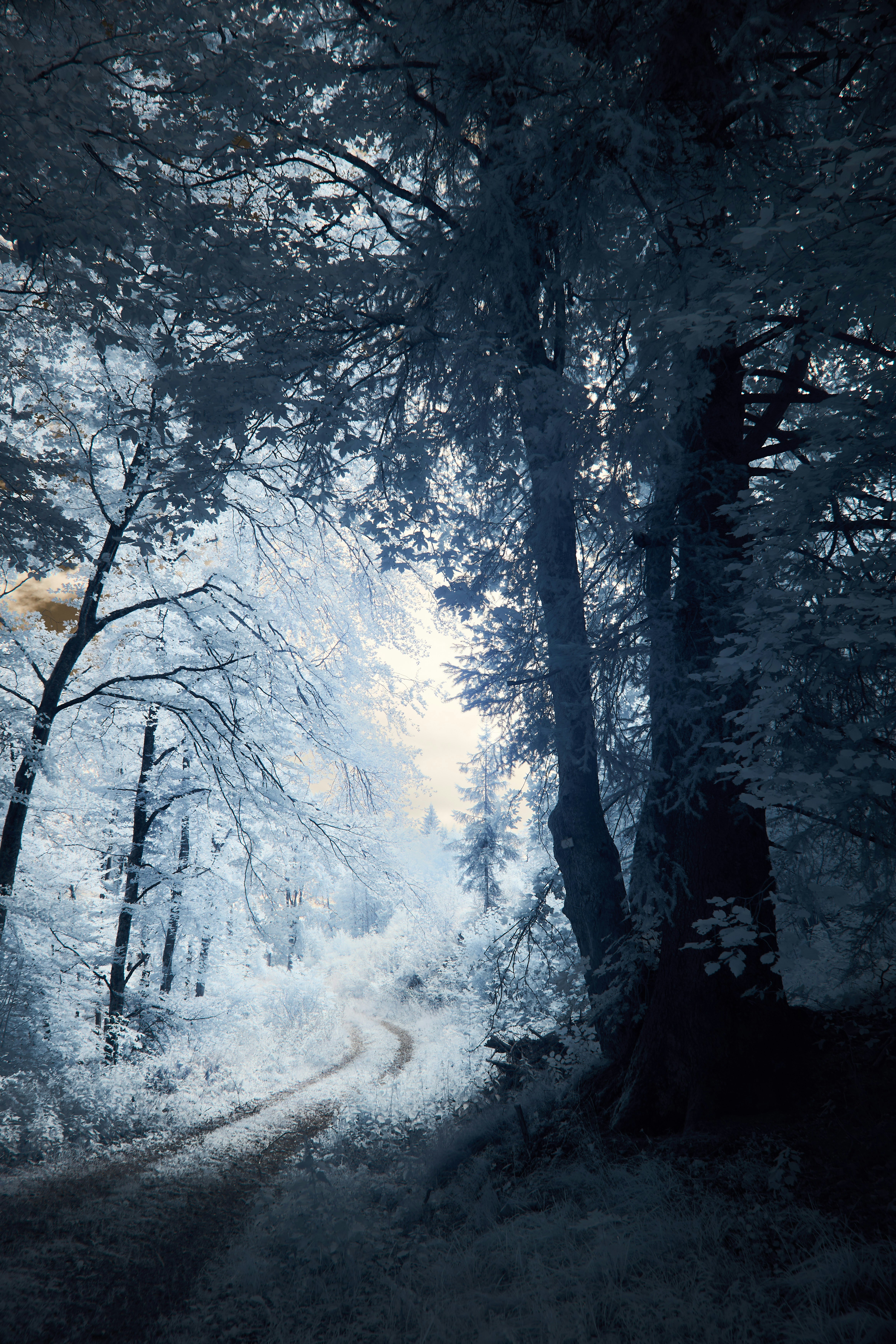 Photo by wolfgang_hasselmann