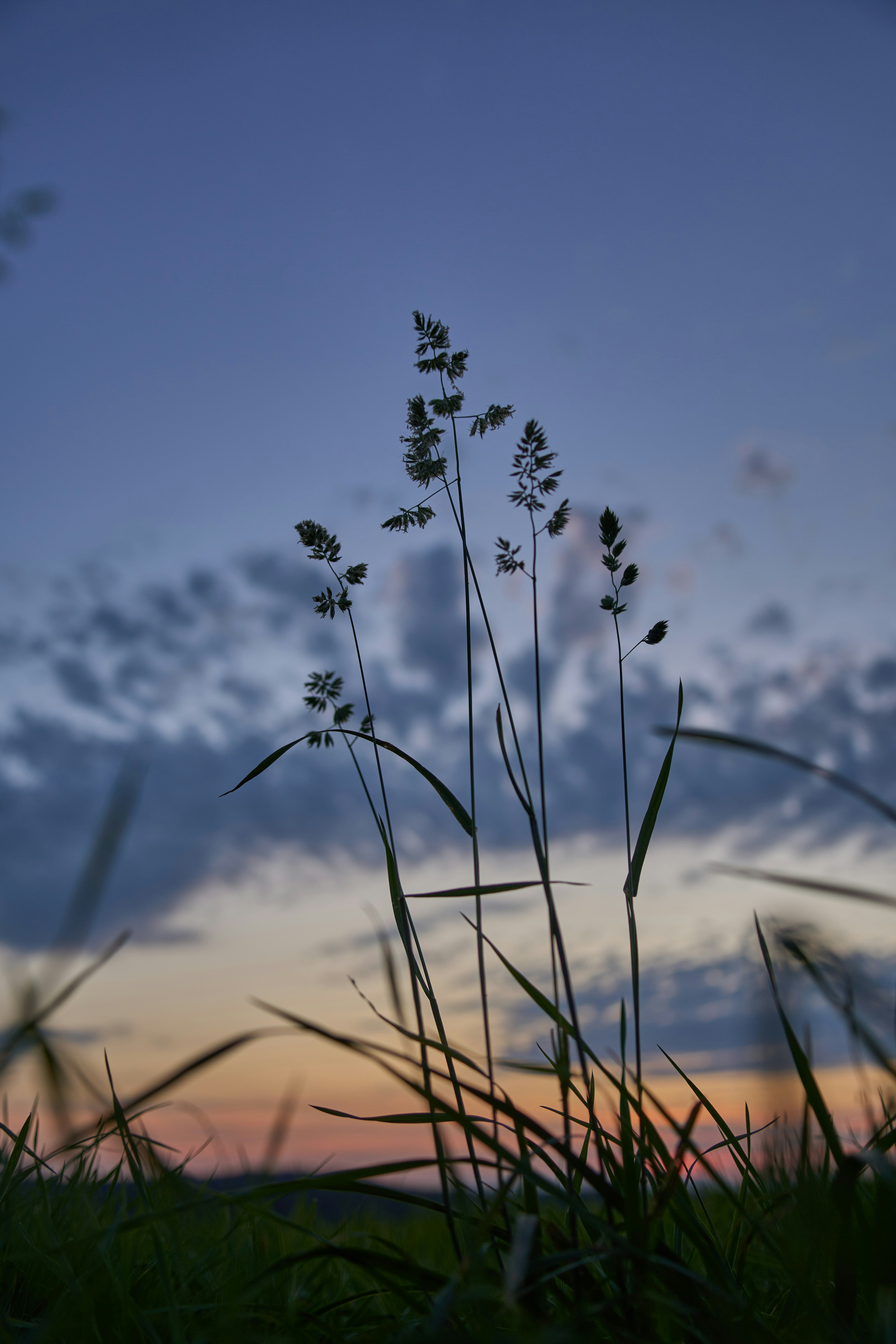 Photo by wolfgang_hasselmann