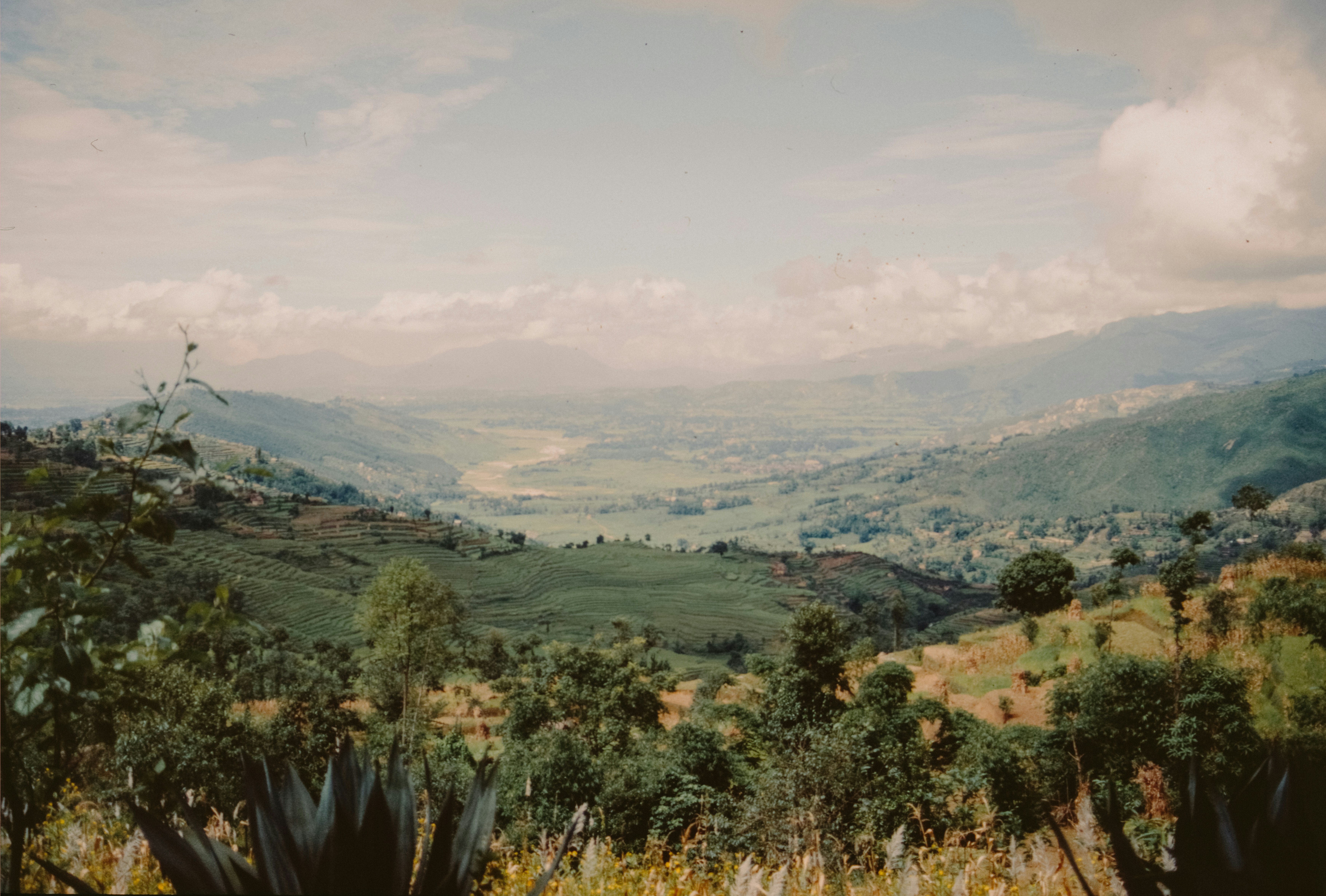 Photo by anniespratt