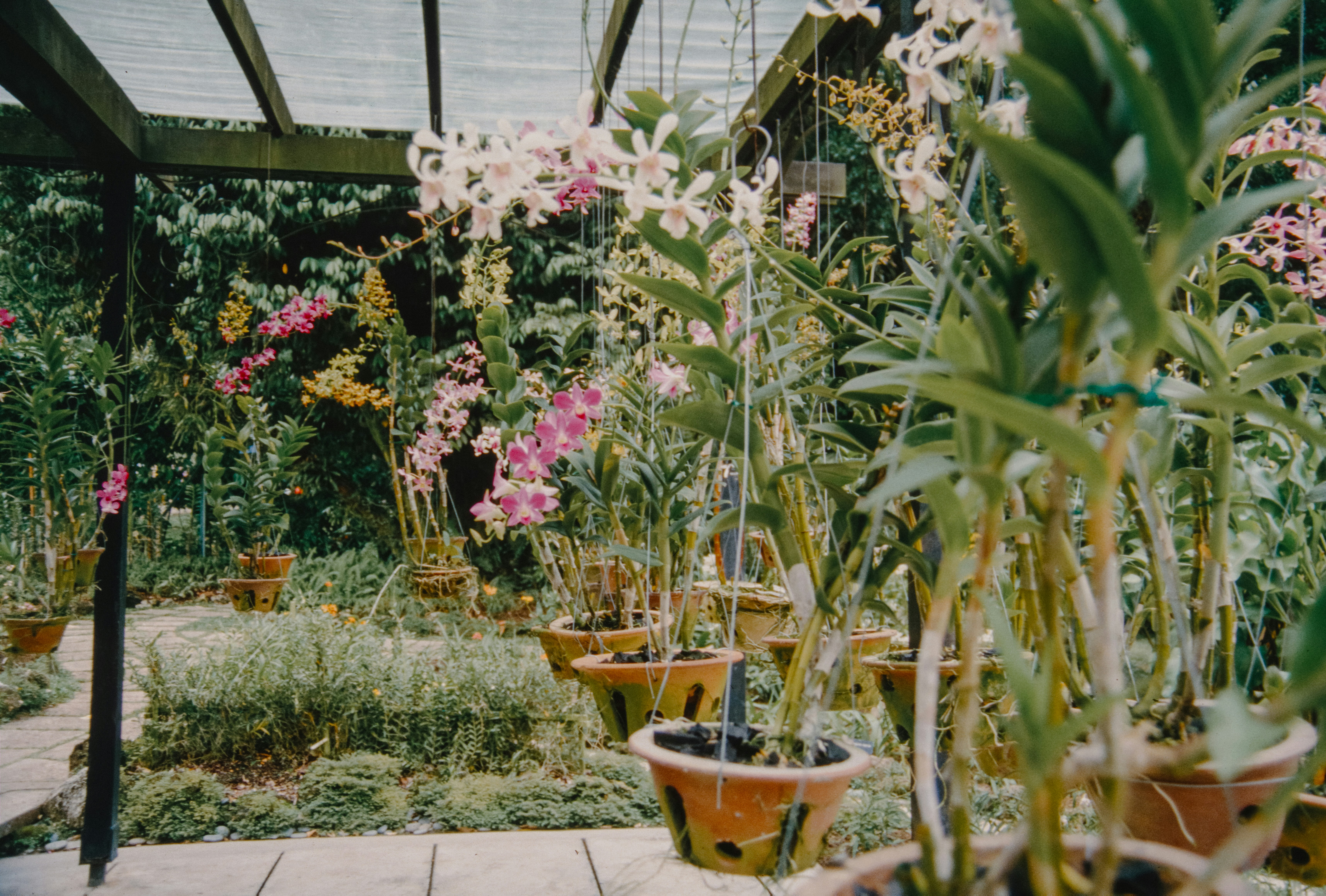 Photo by anniespratt