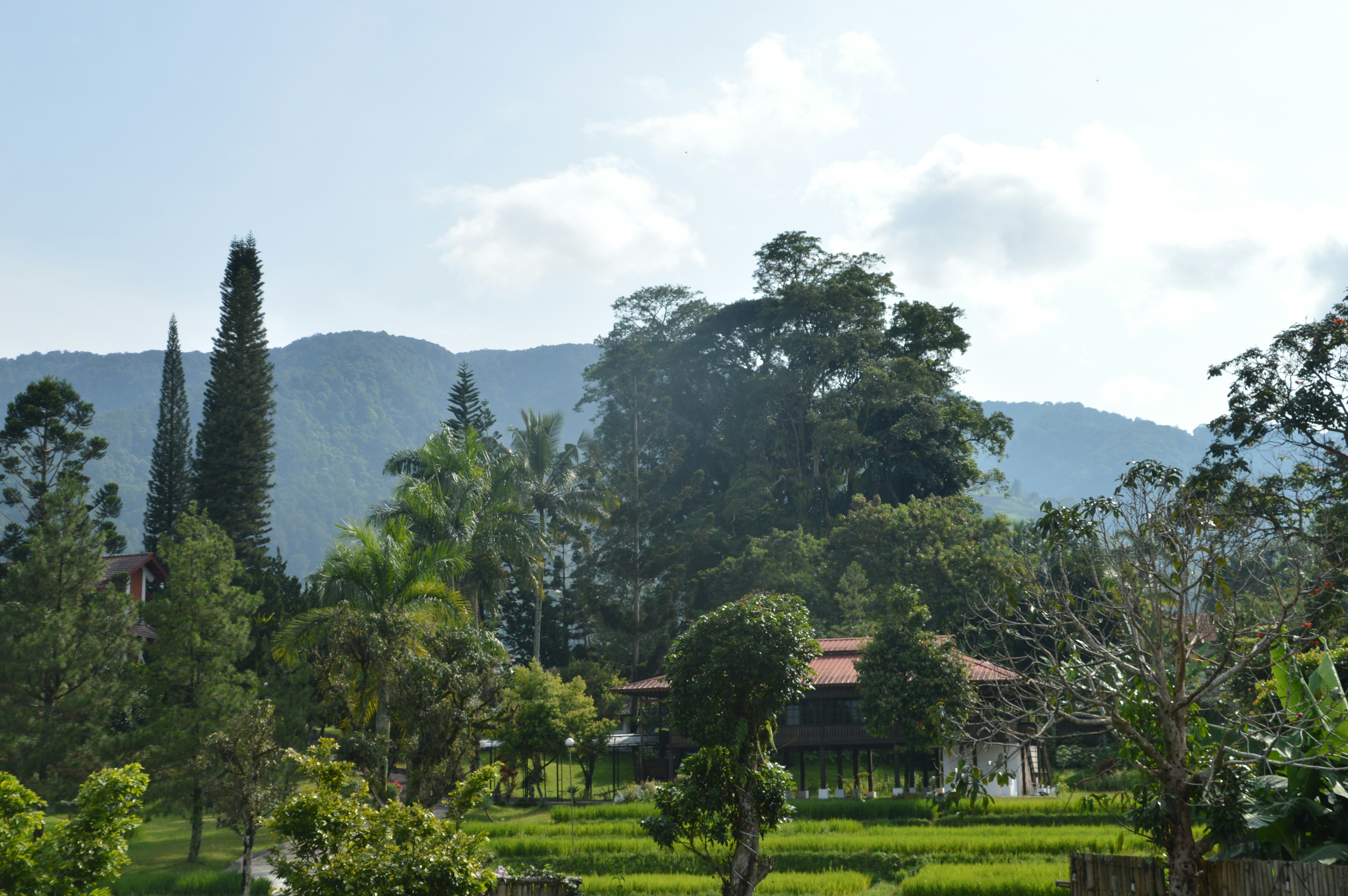 Photo by look_like88