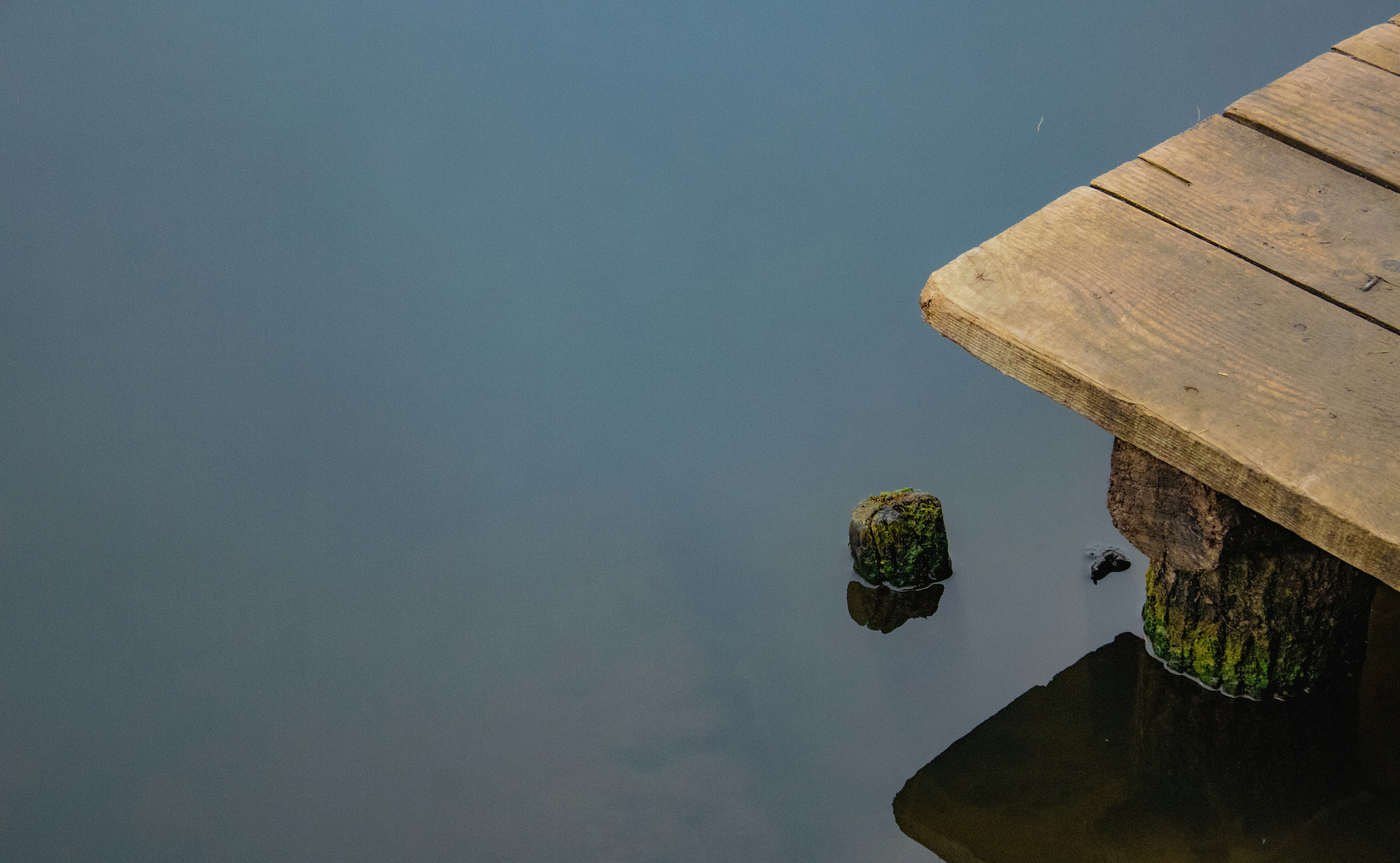 Photo by kolesnykyan