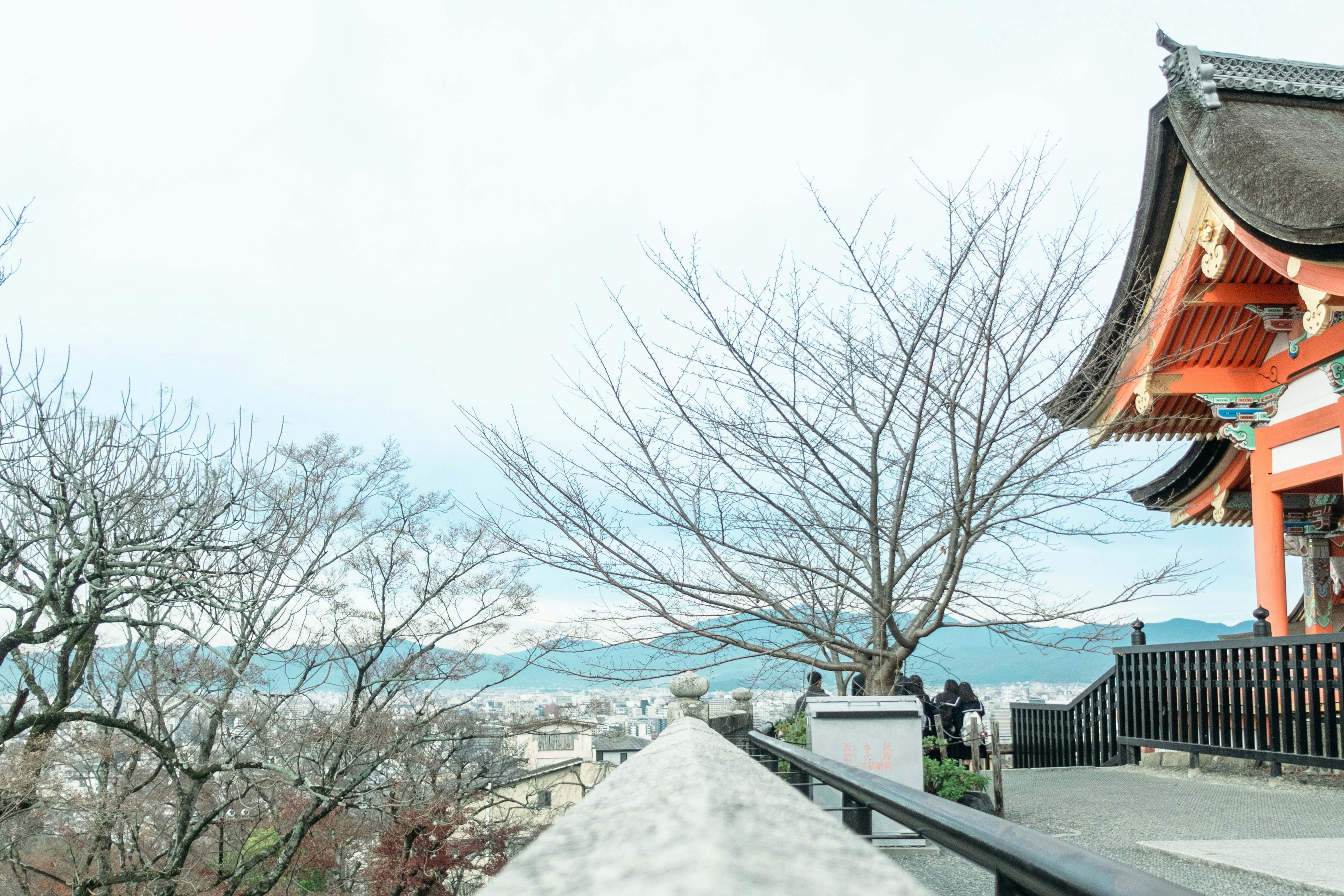 Traditional japanese temple architecture with bare trees.