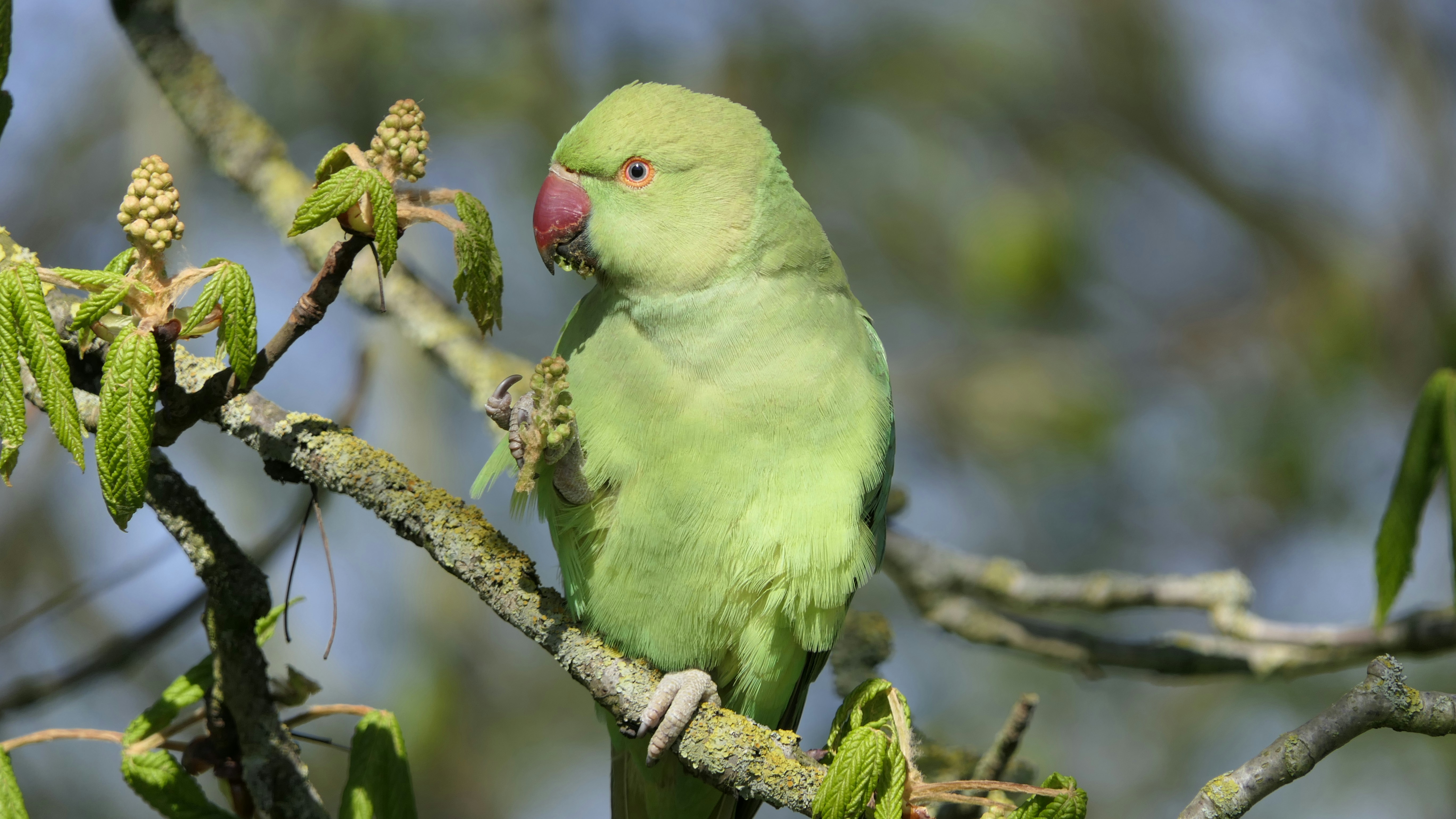 Photo by niall_smith