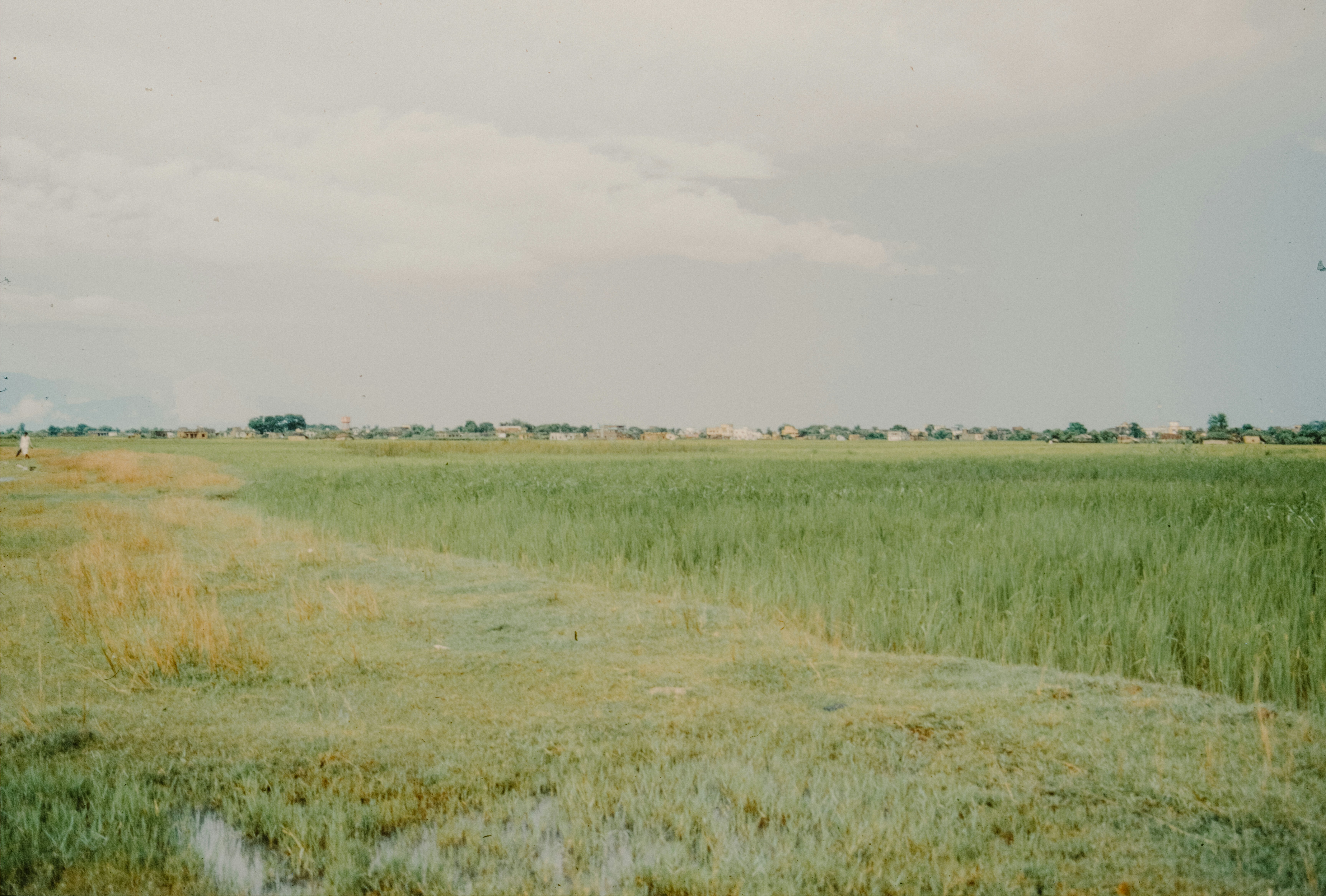 Photo by anniespratt