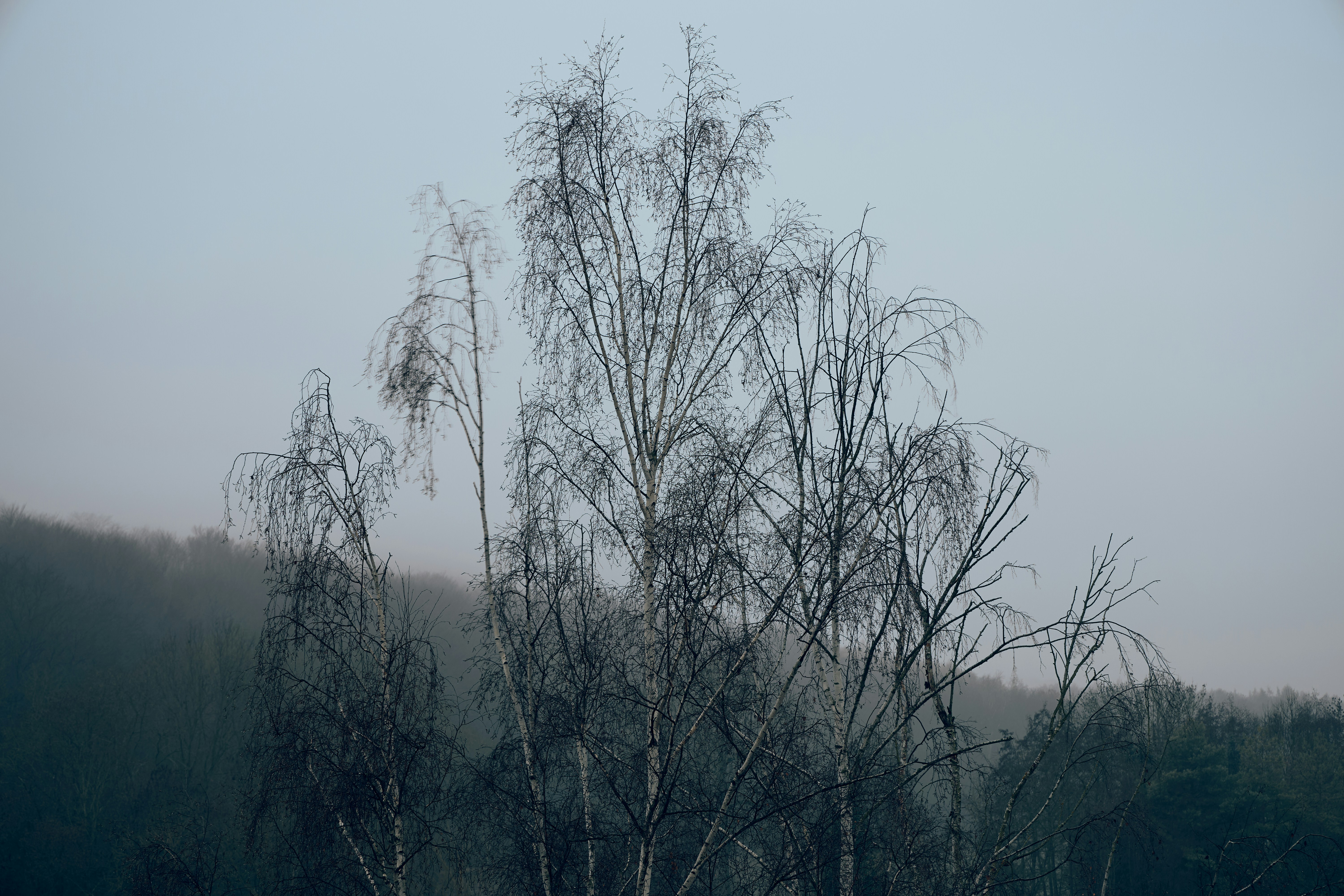 Photo by nottwentyseven