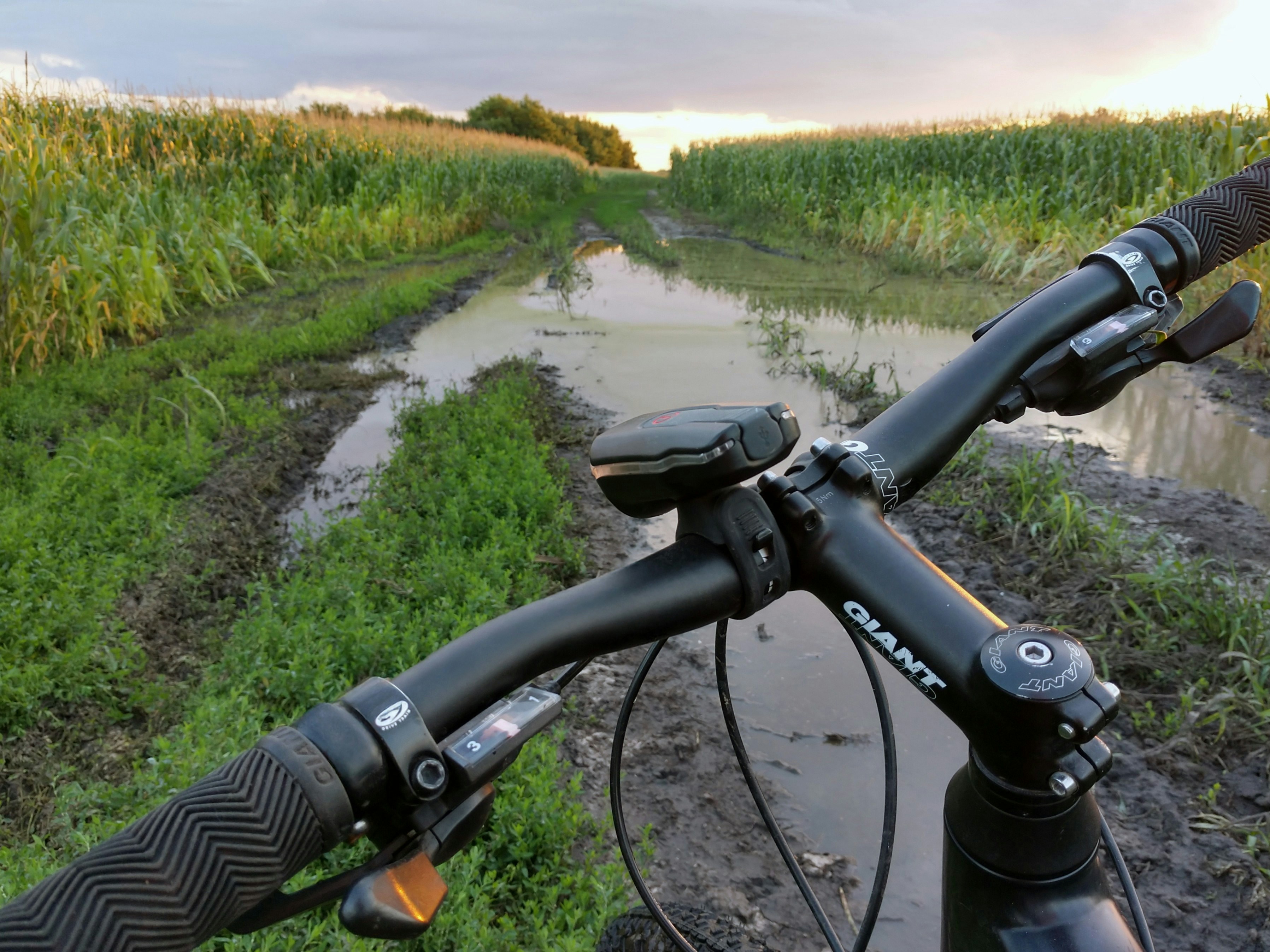 Bicycle handlebars on a muddy path through a field.
