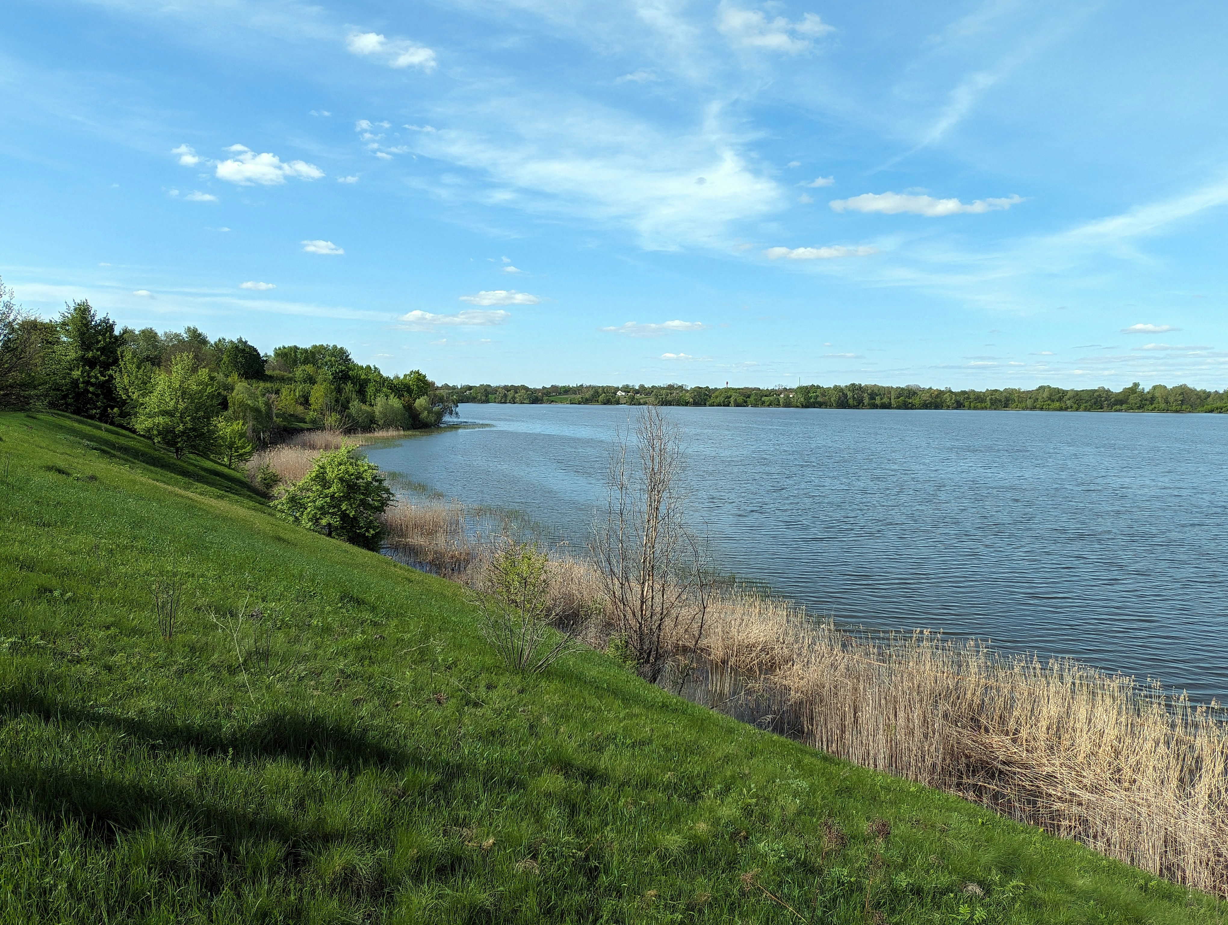 Photo by vitaliy_naumenko