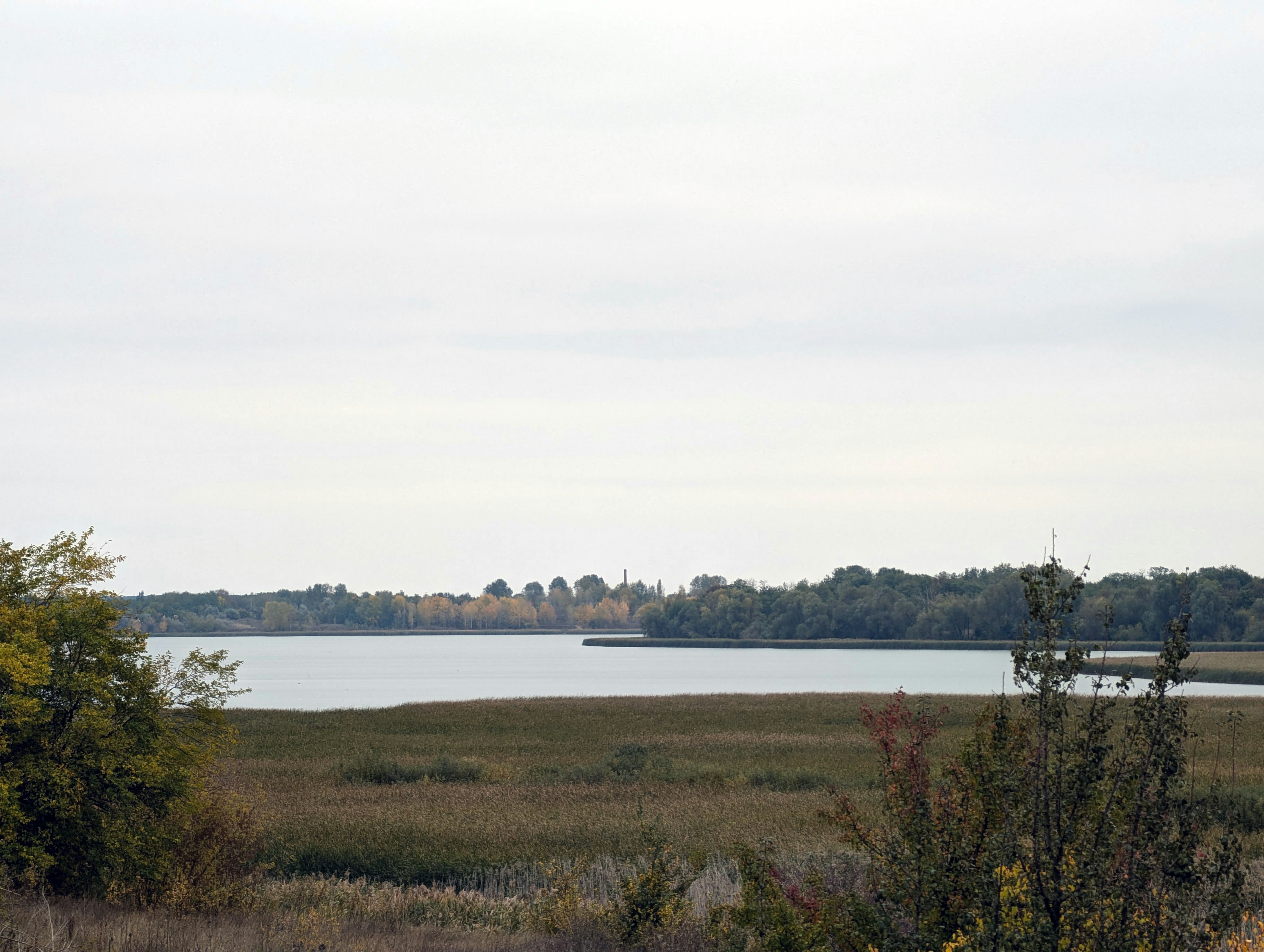 Photo by vitaliy_naumenko