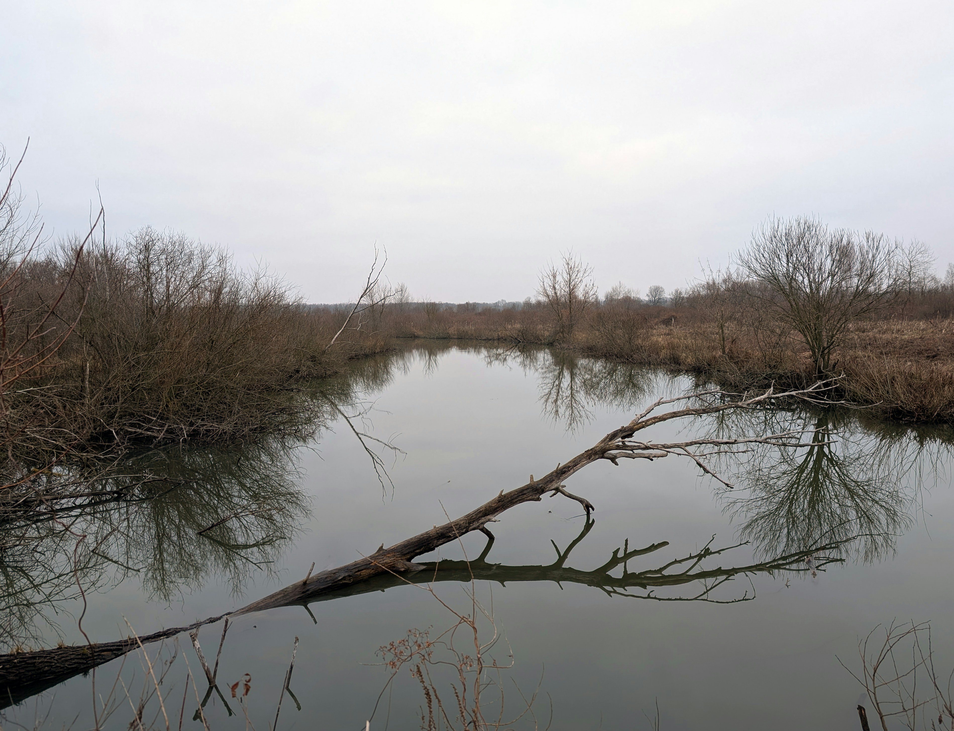 Photo by vitaliy_naumenko