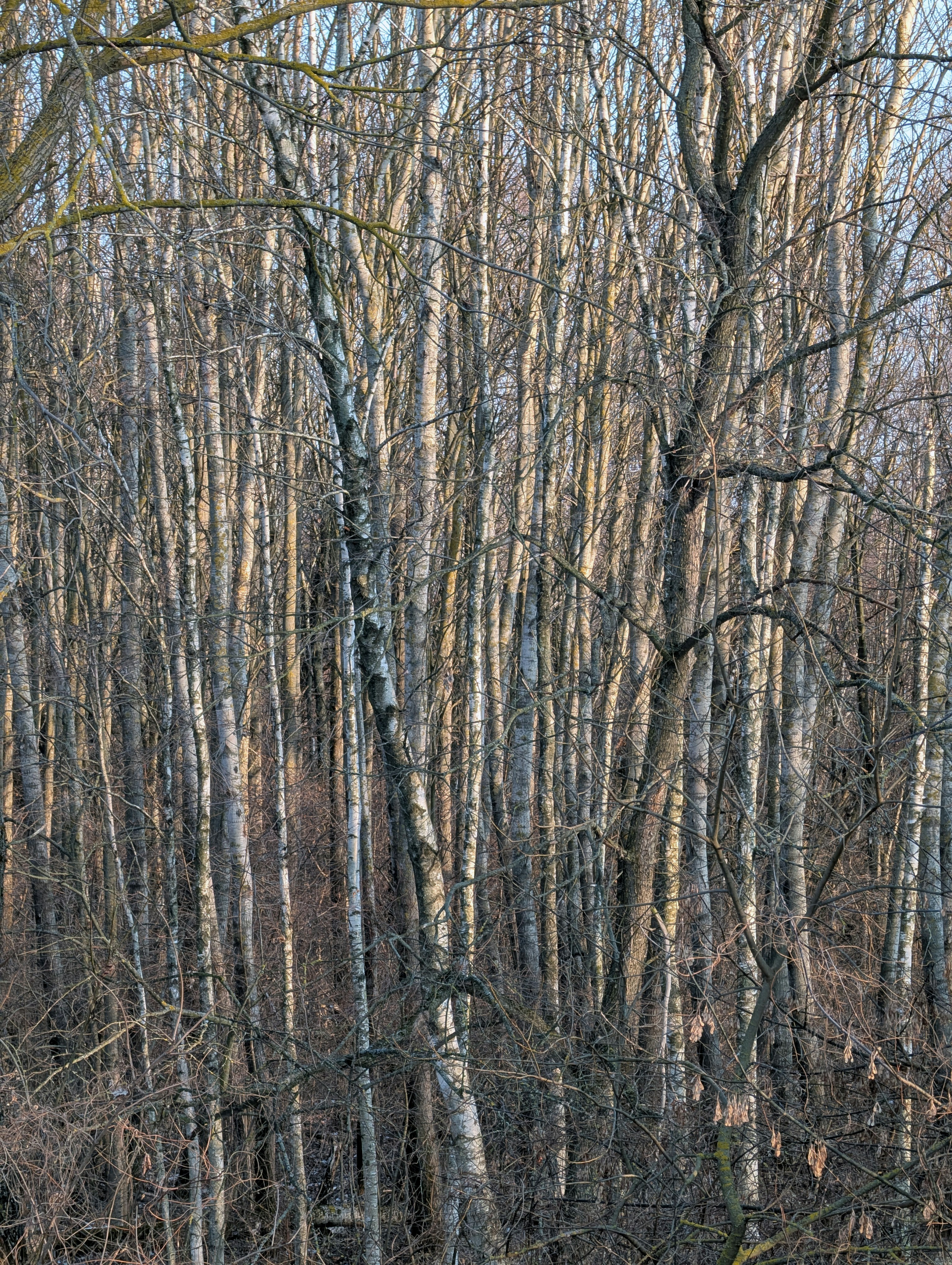 Photo by vitaliy_naumenko