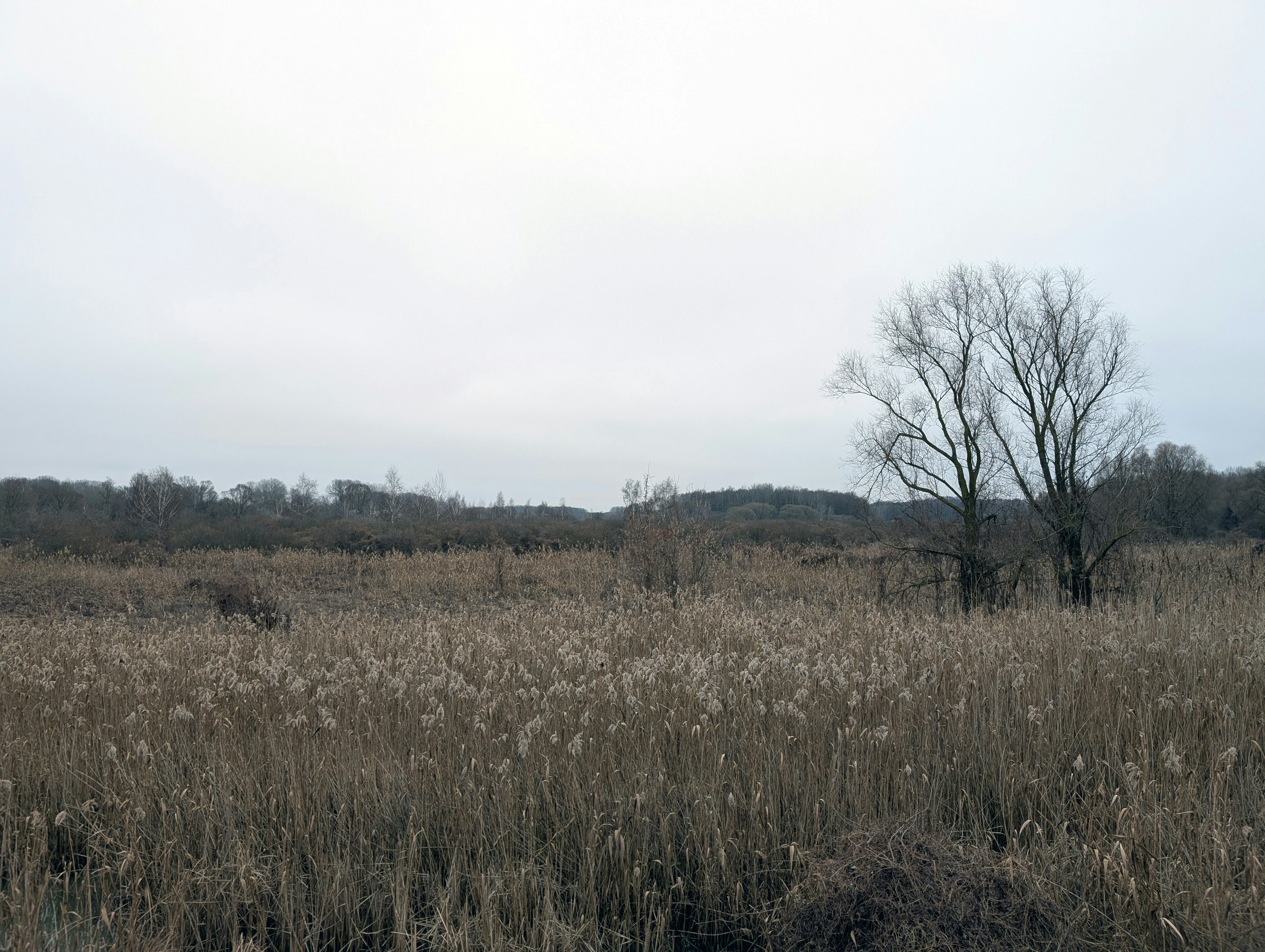 Photo by vitaliy_naumenko