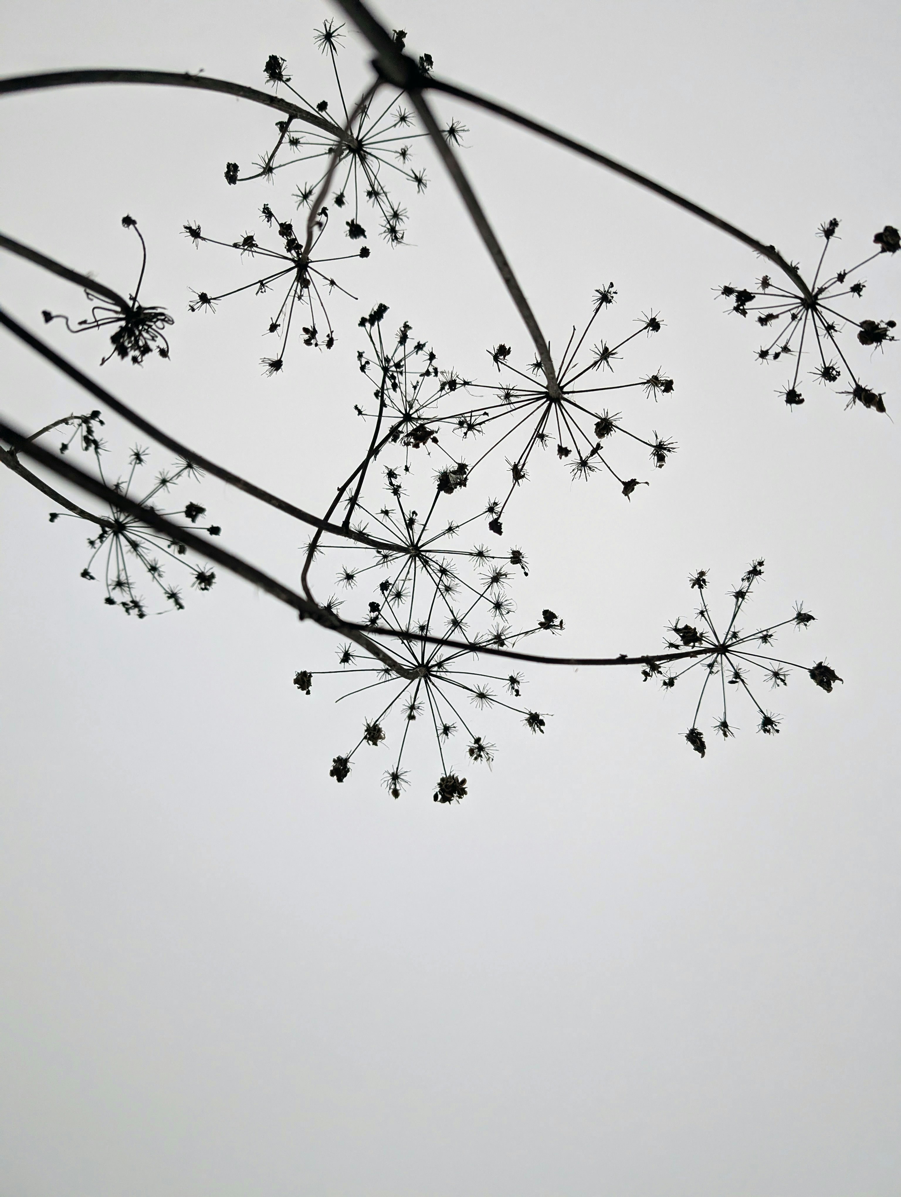 Photo by vitaliy_naumenko