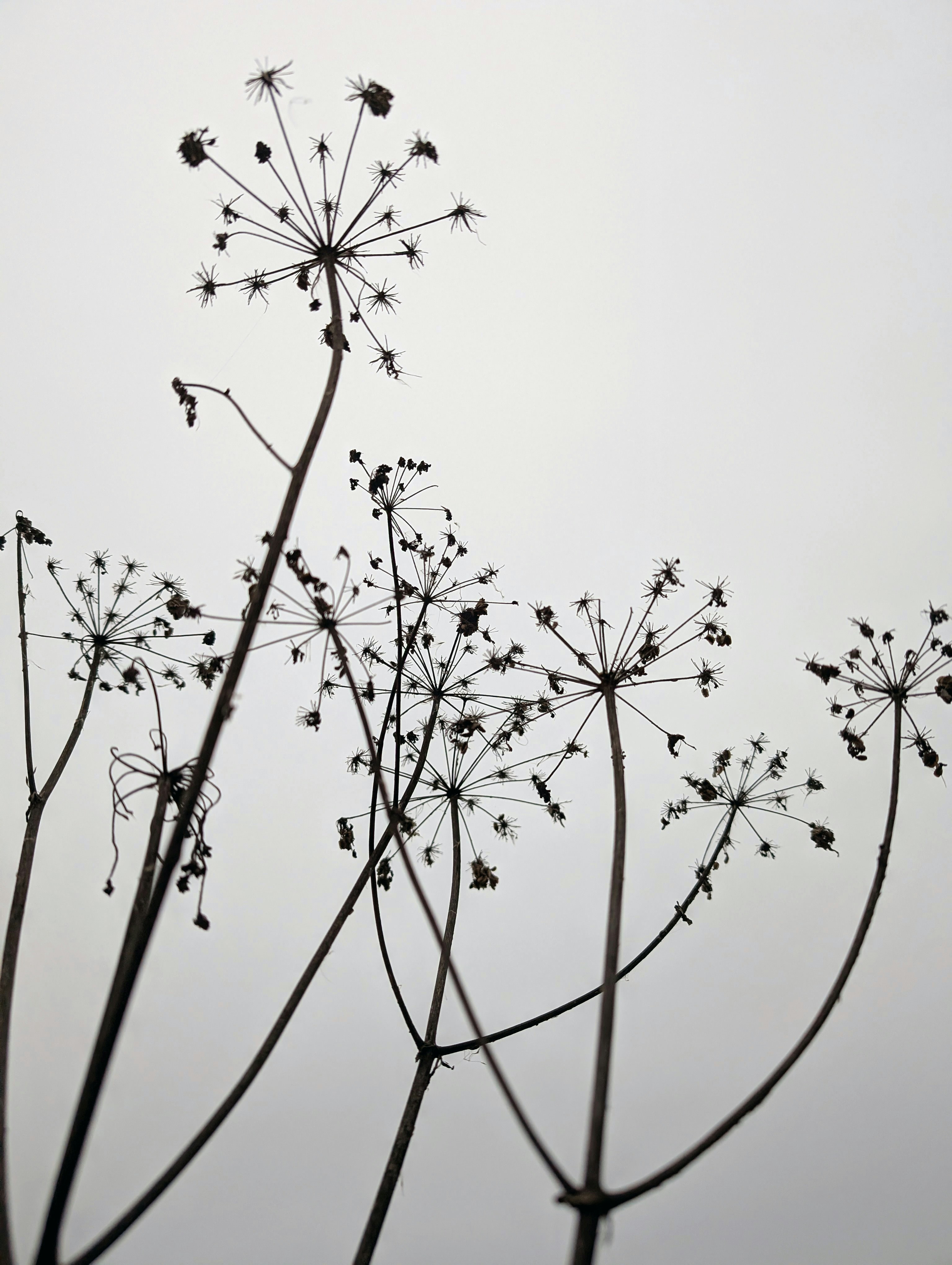 Photo by vitaliy_naumenko