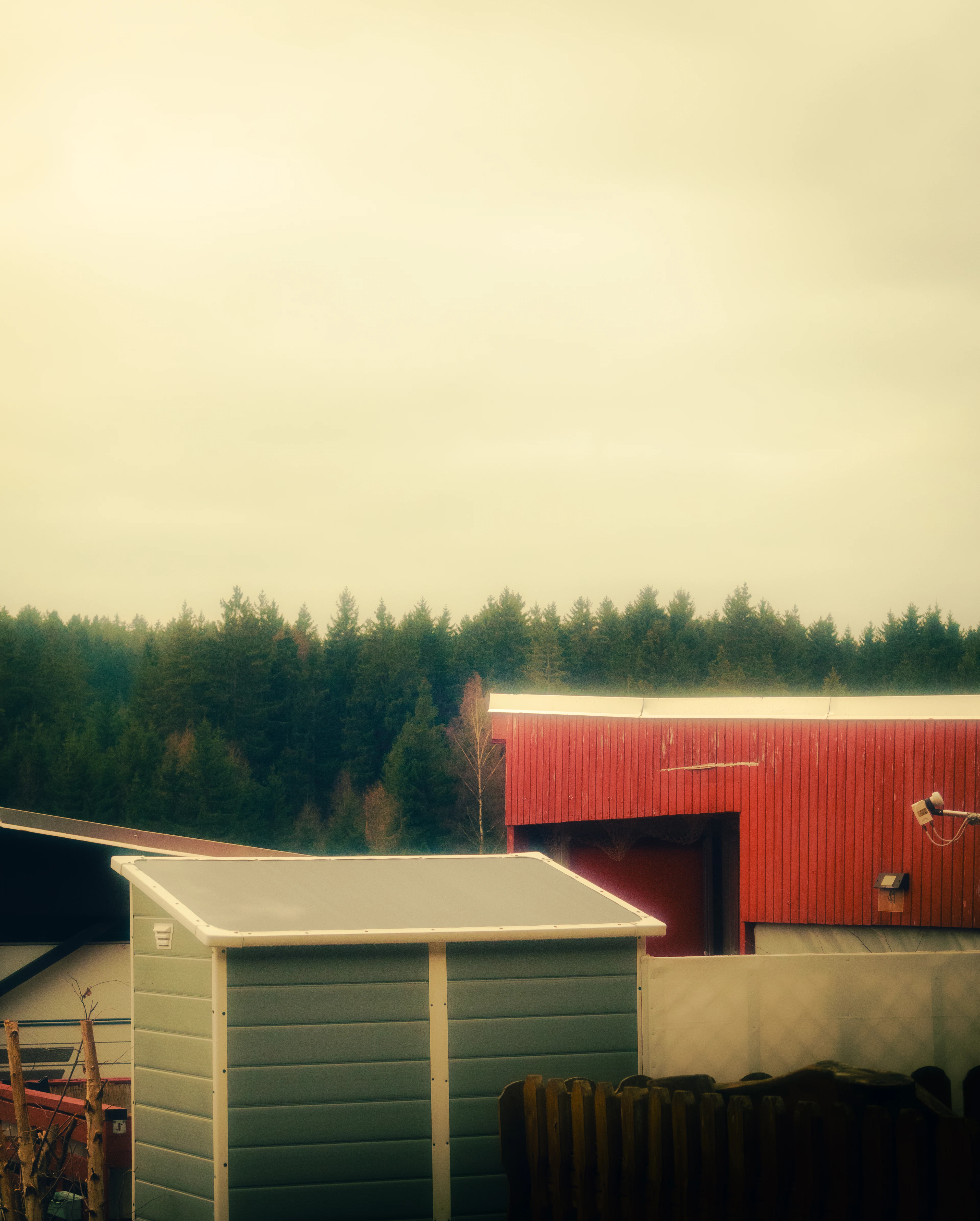 Shed Removal