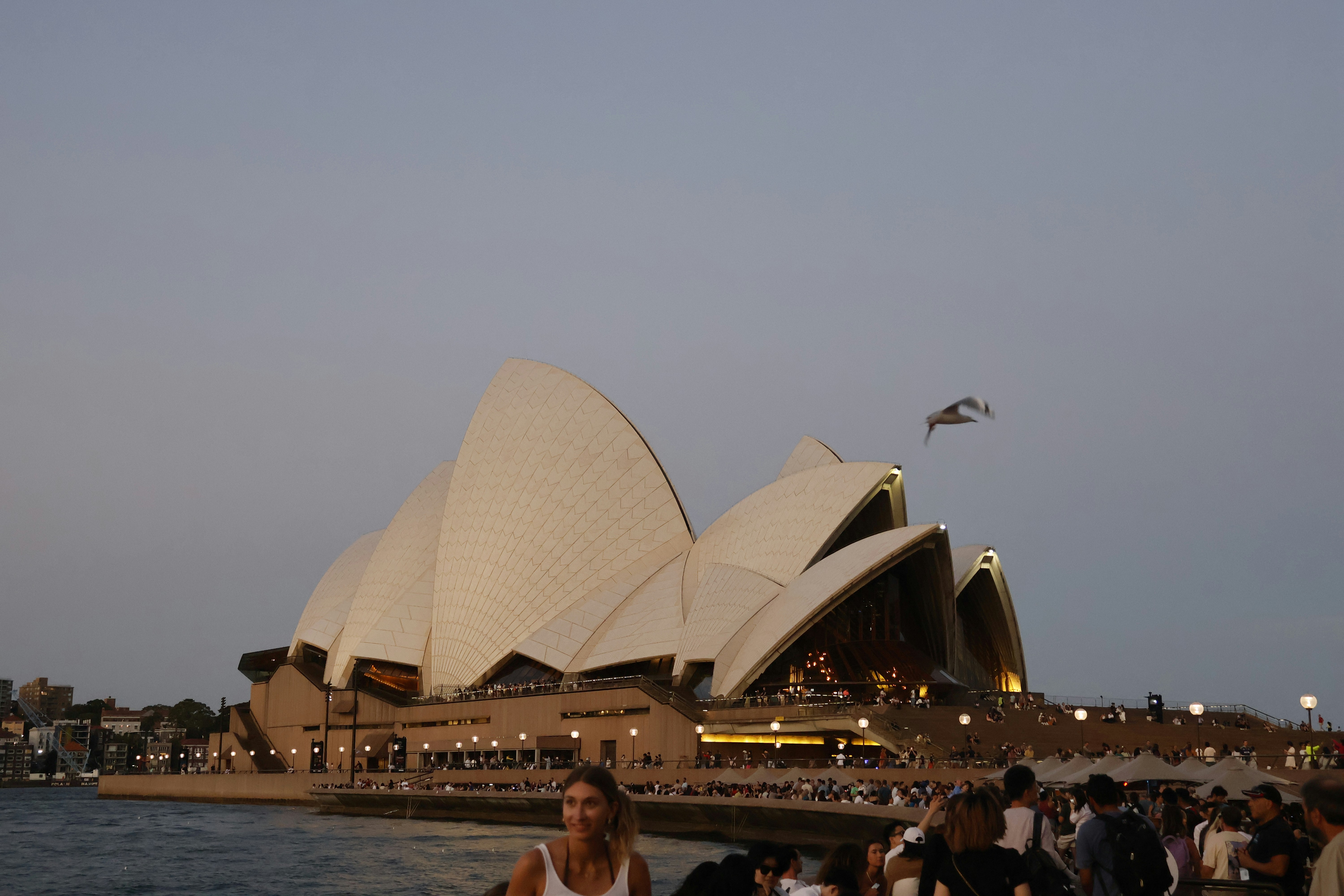 호주 워킹홀레데이 신청 초기자금