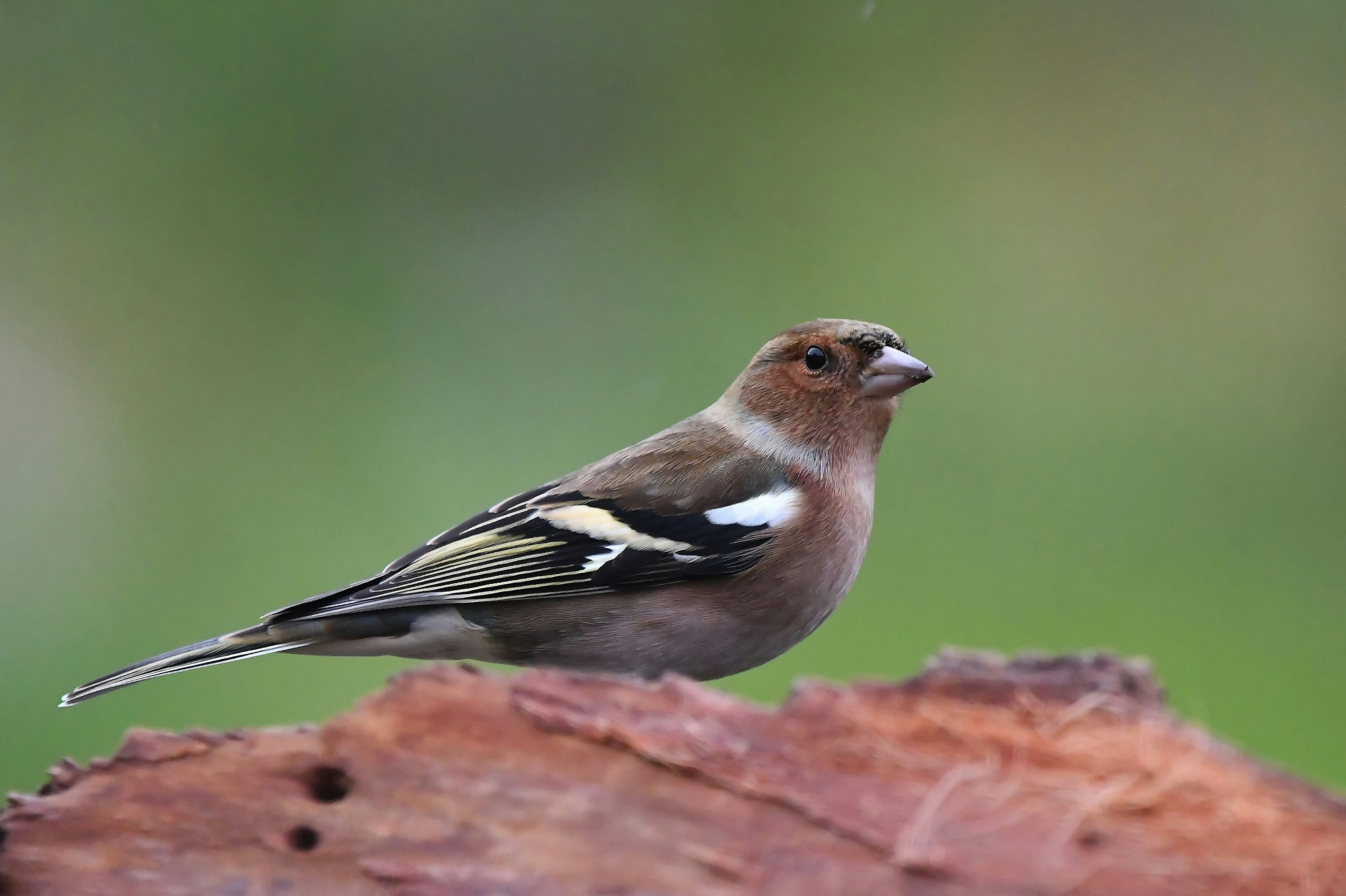 Photo by geraldine86170