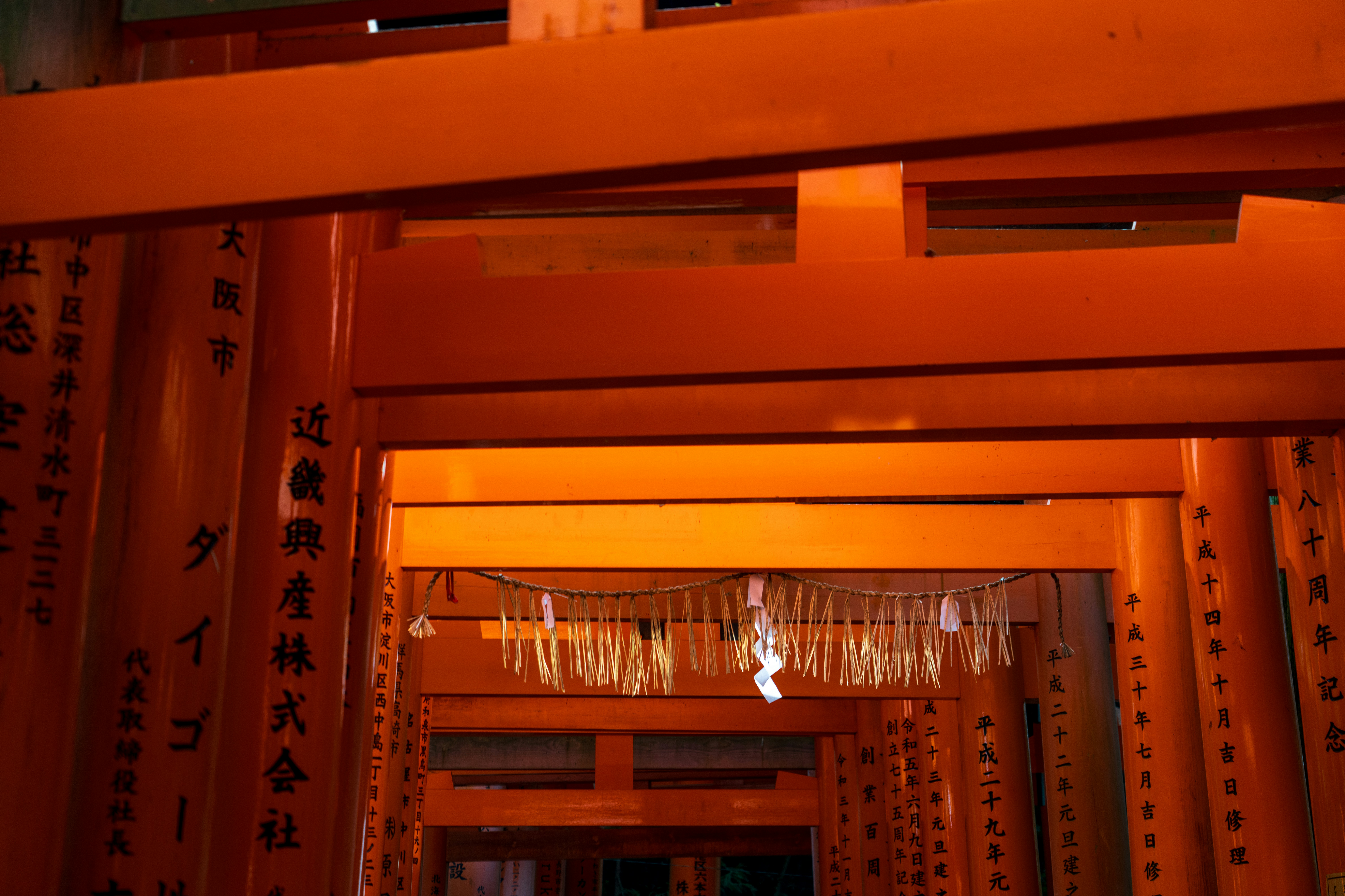 Rows of vibrant orange torii gates at a shrine