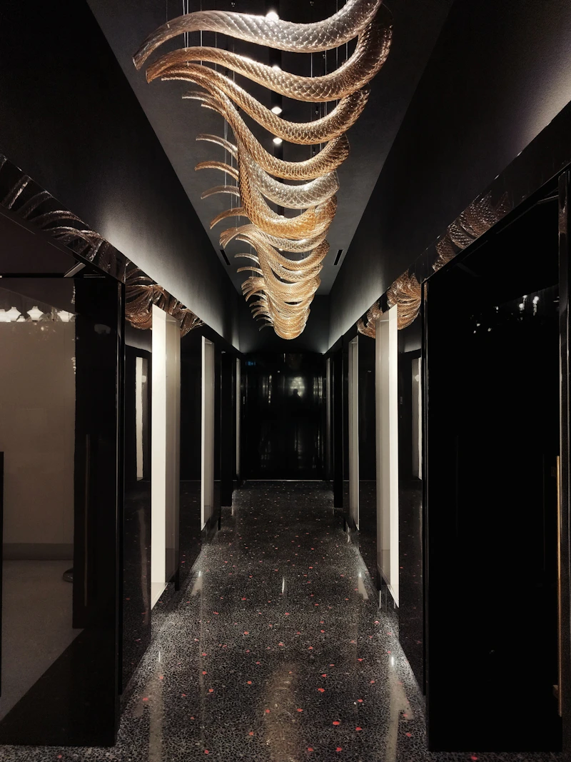 Contemporary hallway