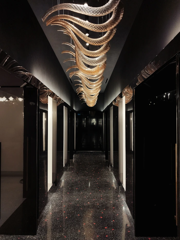 Contemporary hallway