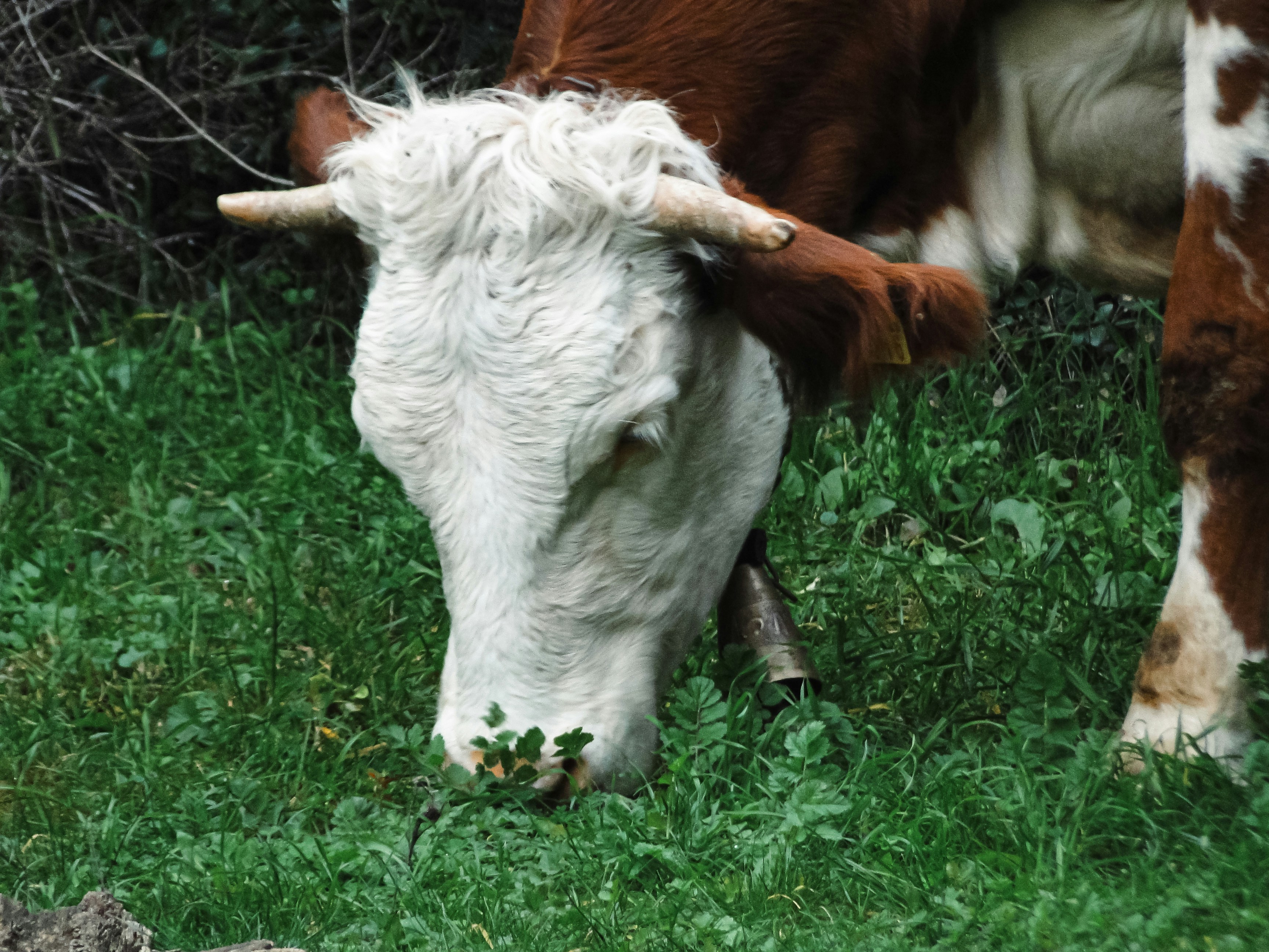 Photo by mervebayat19