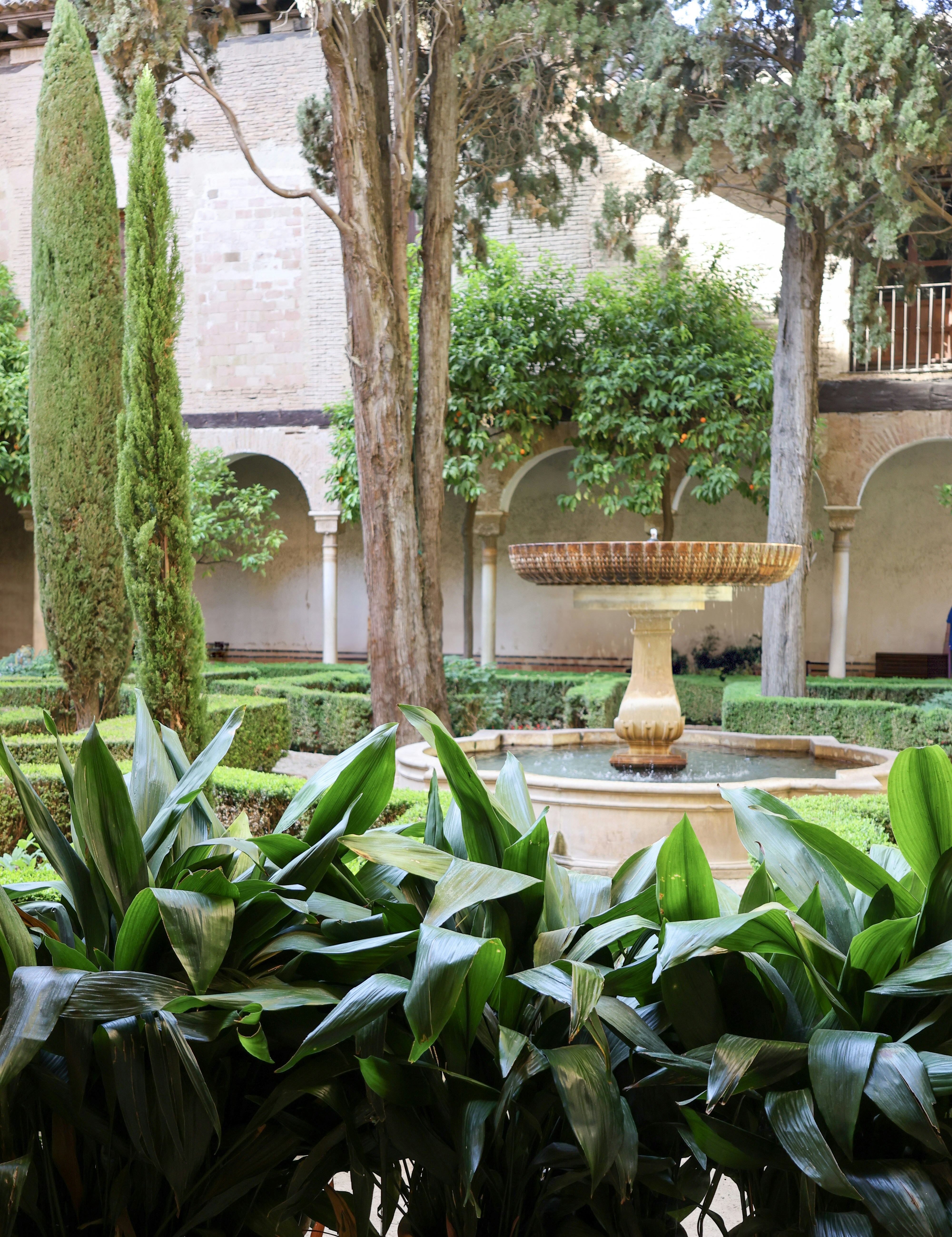 Photo by abdullahvance