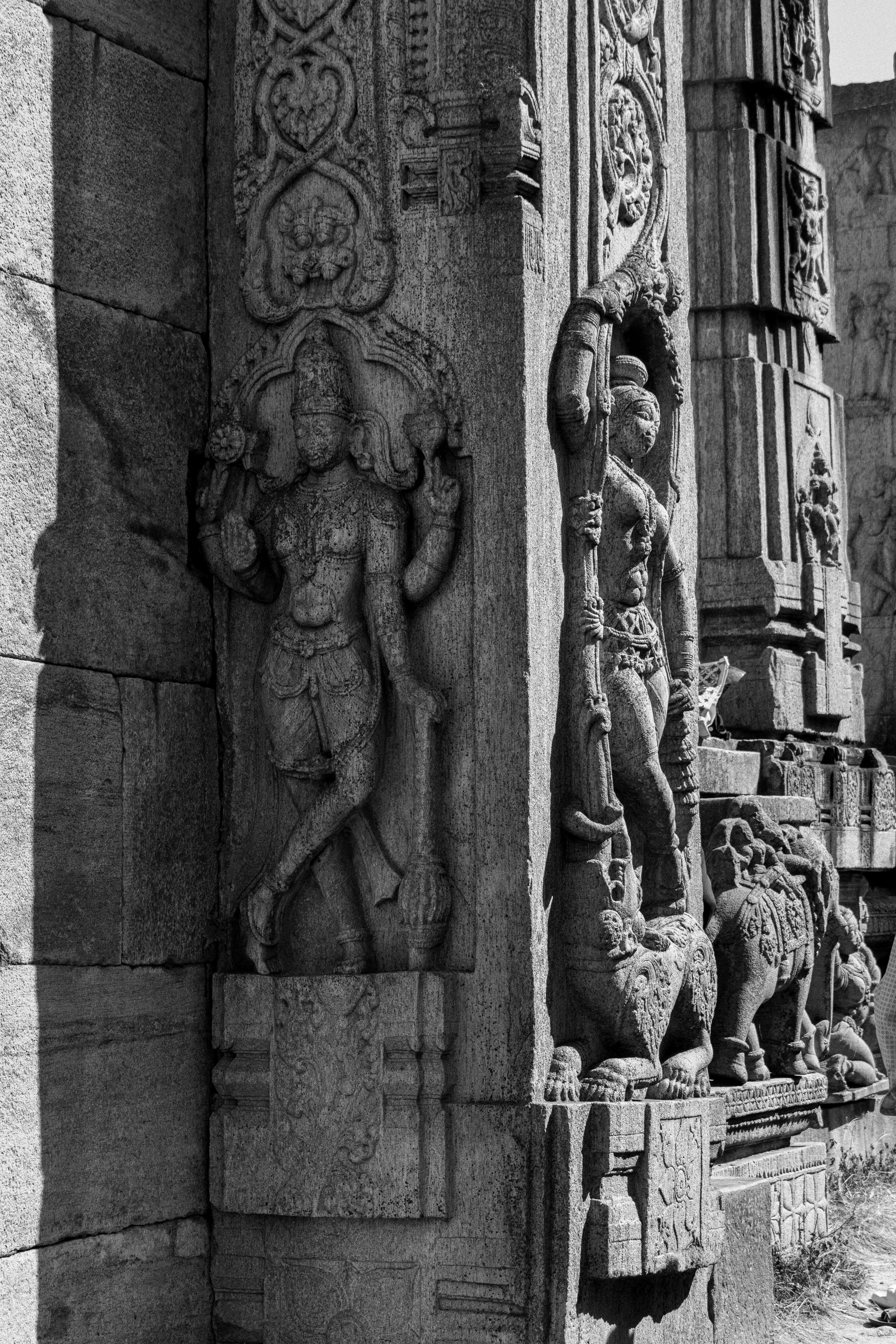 Photo by suhashanjar