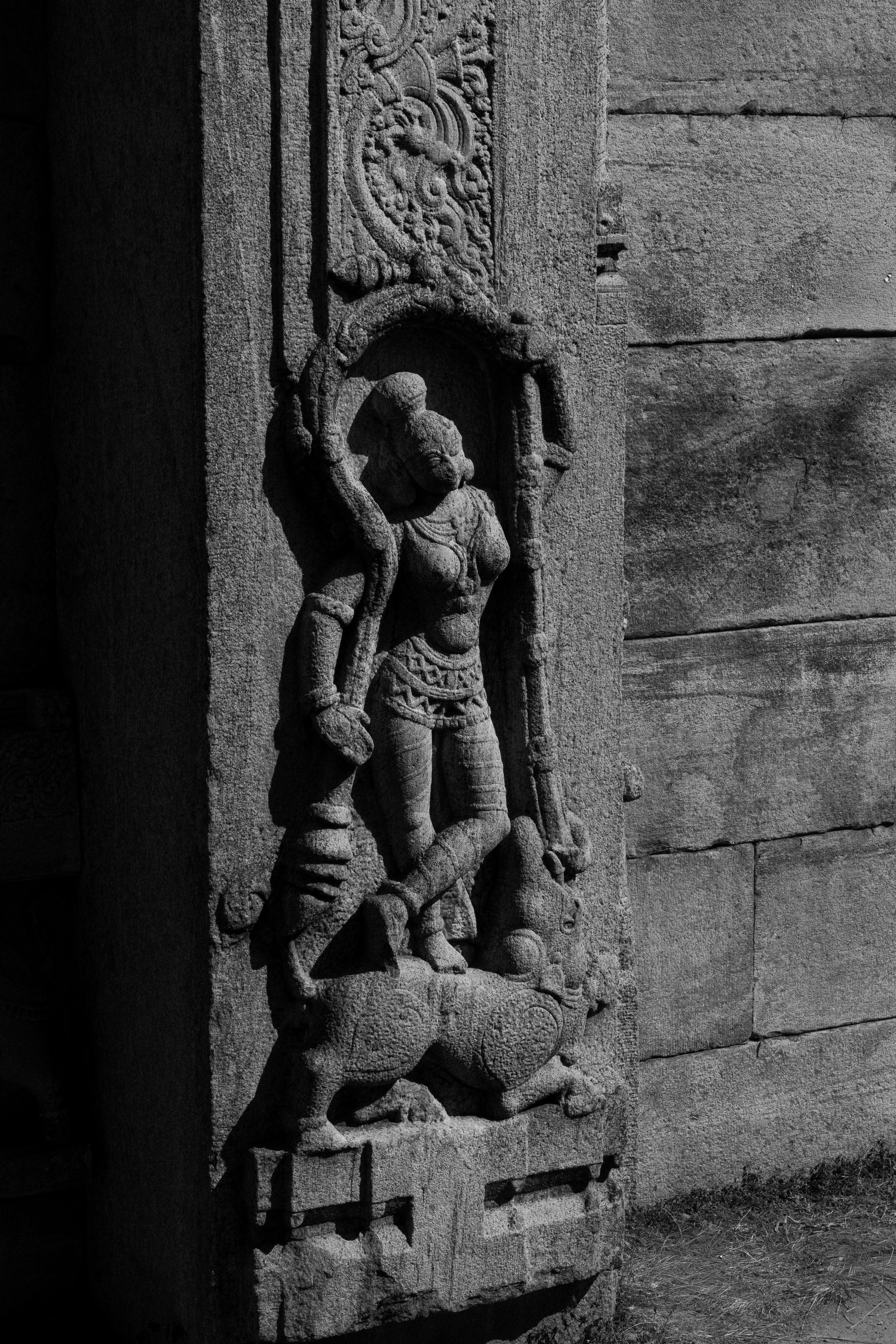 Photo by suhashanjar