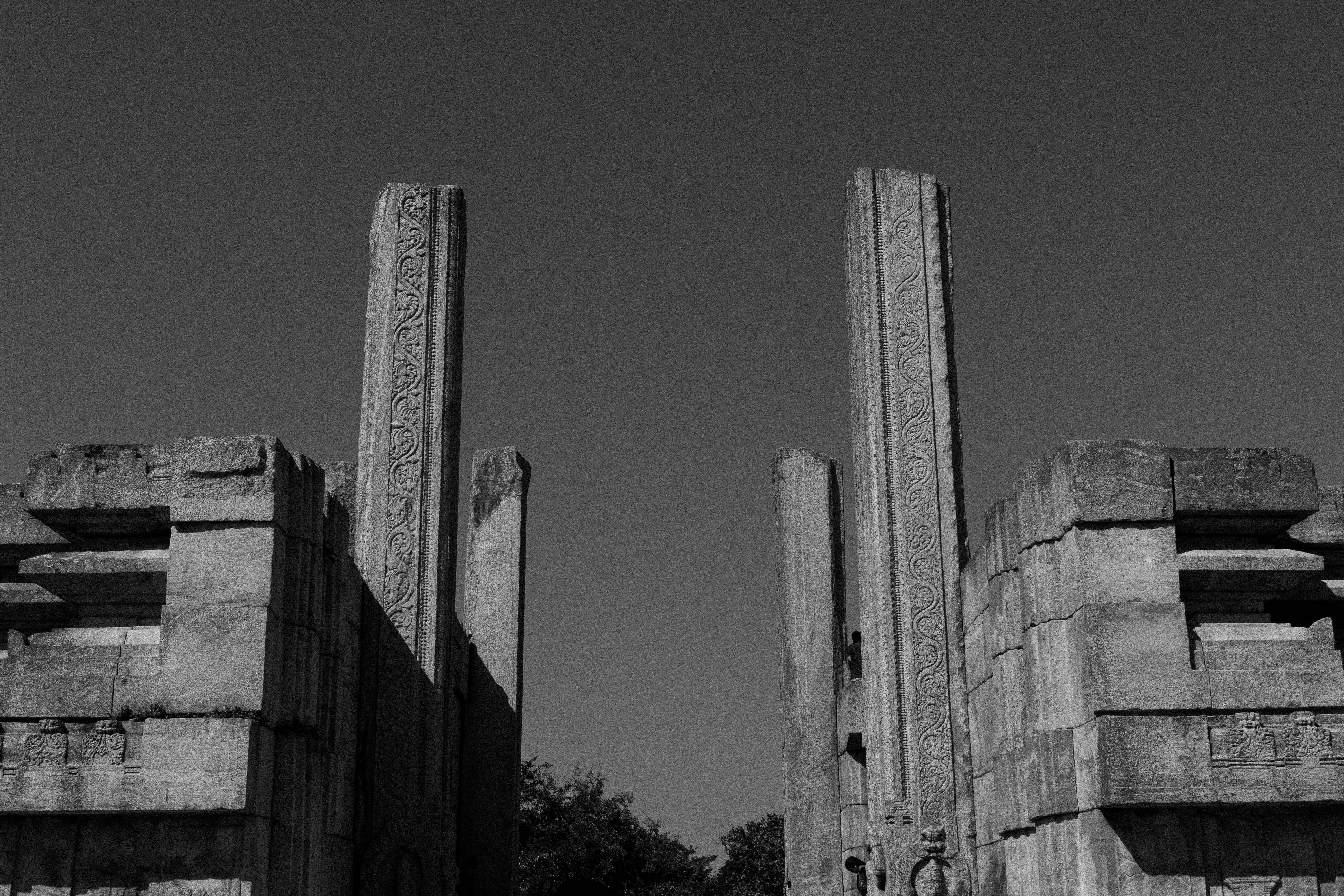 Photo by suhashanjar