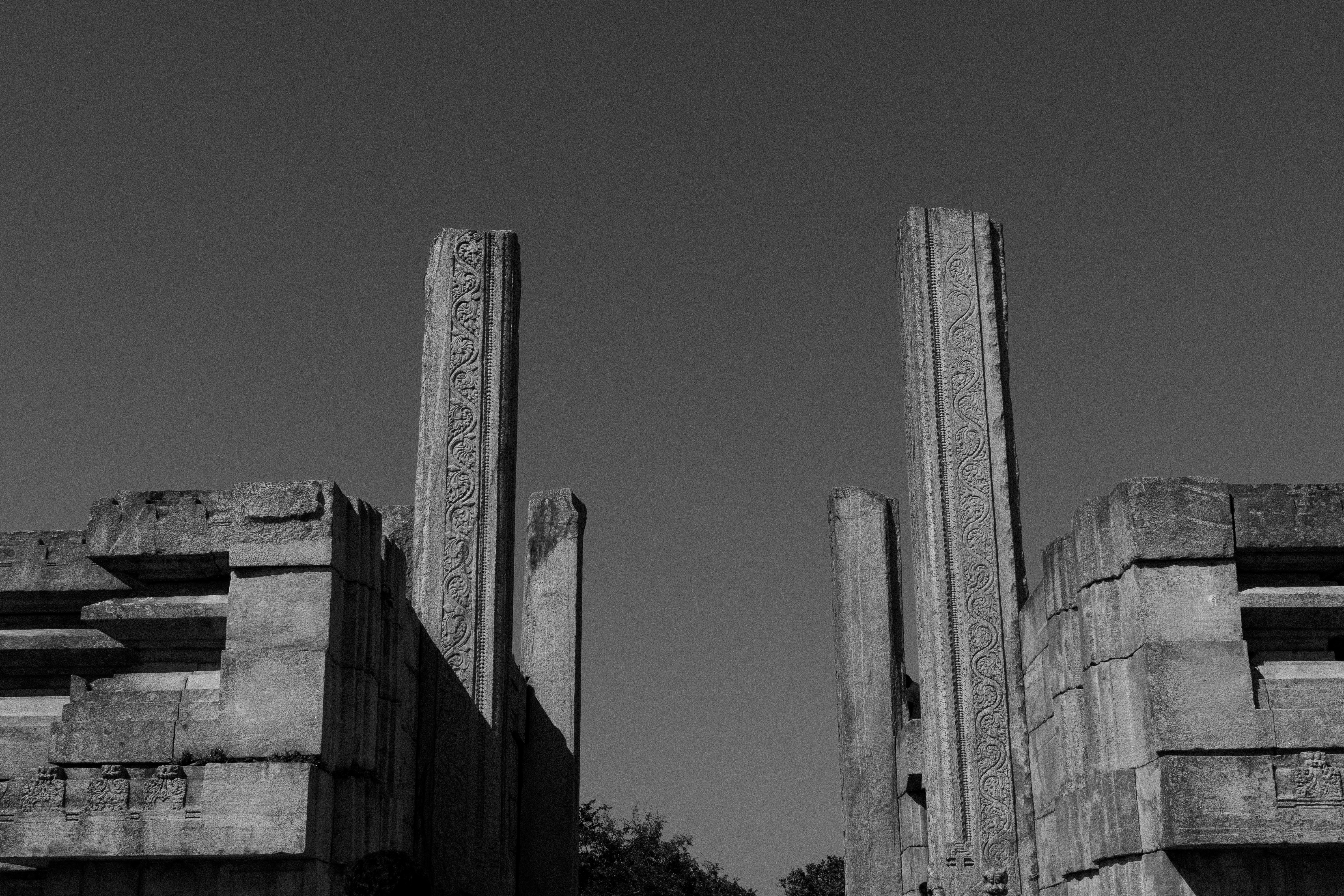 Photo by suhashanjar