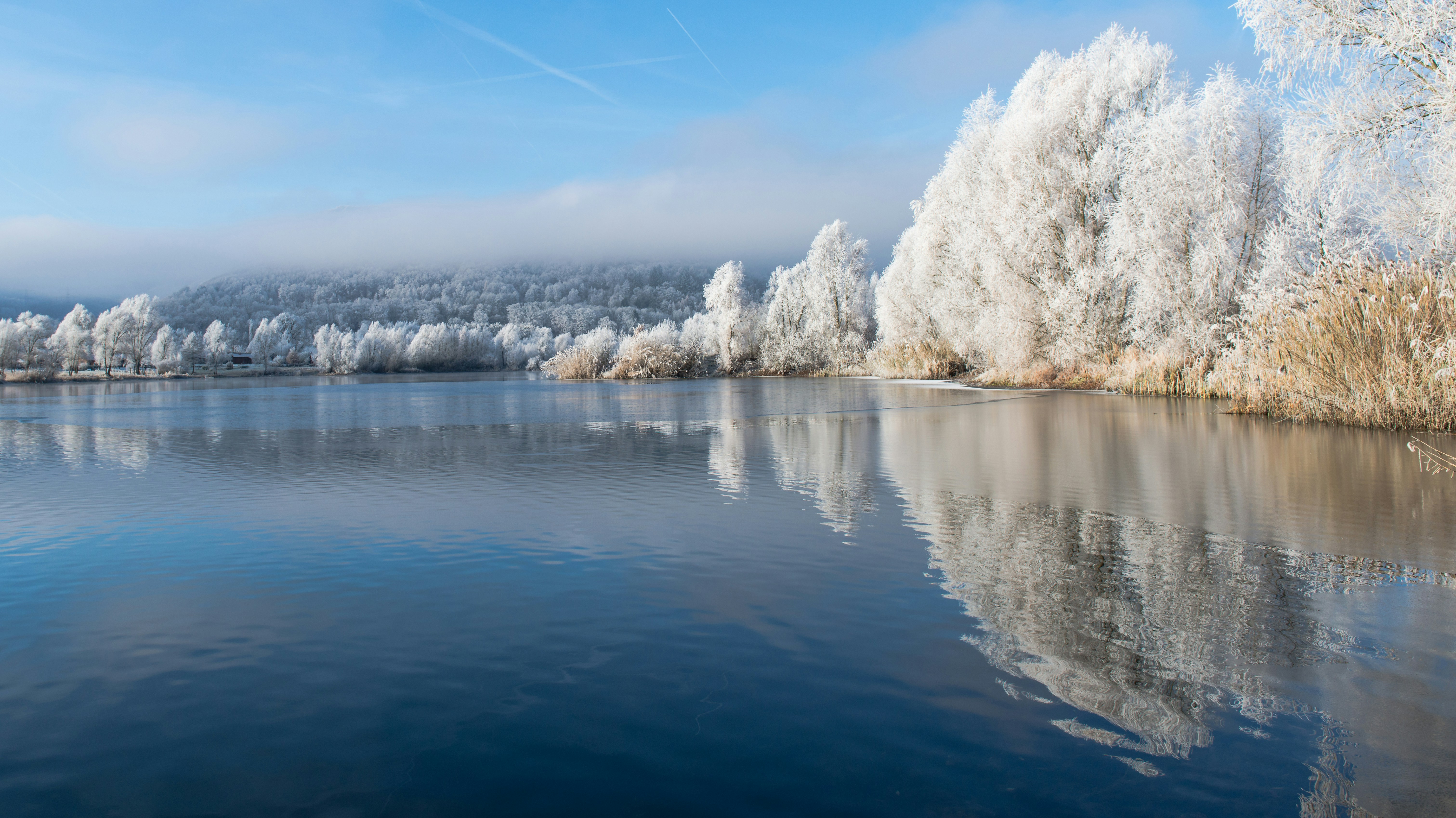 Frosted trees reflected in a calm winter lake.