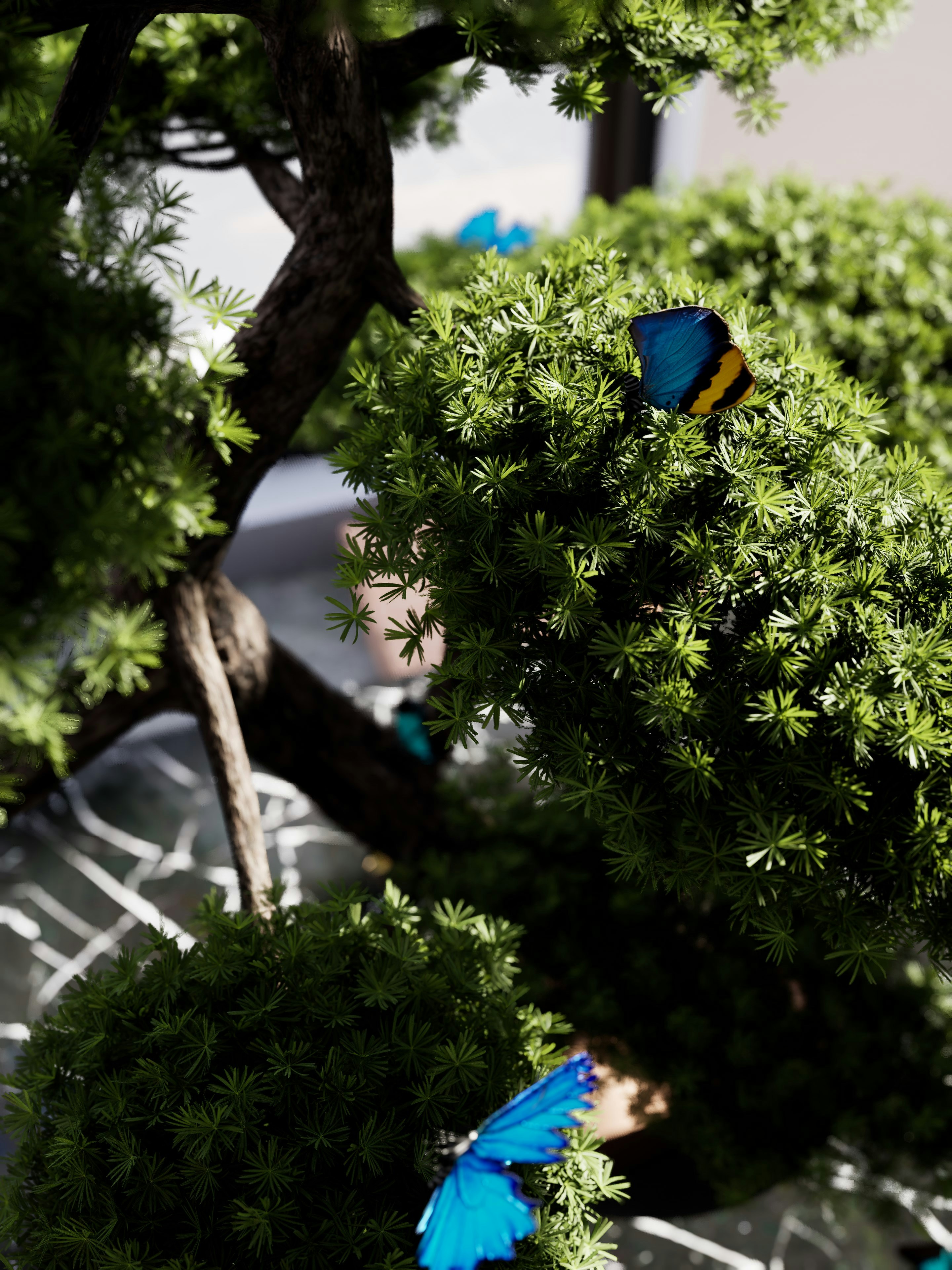 Blue butterflies resting on green foliage