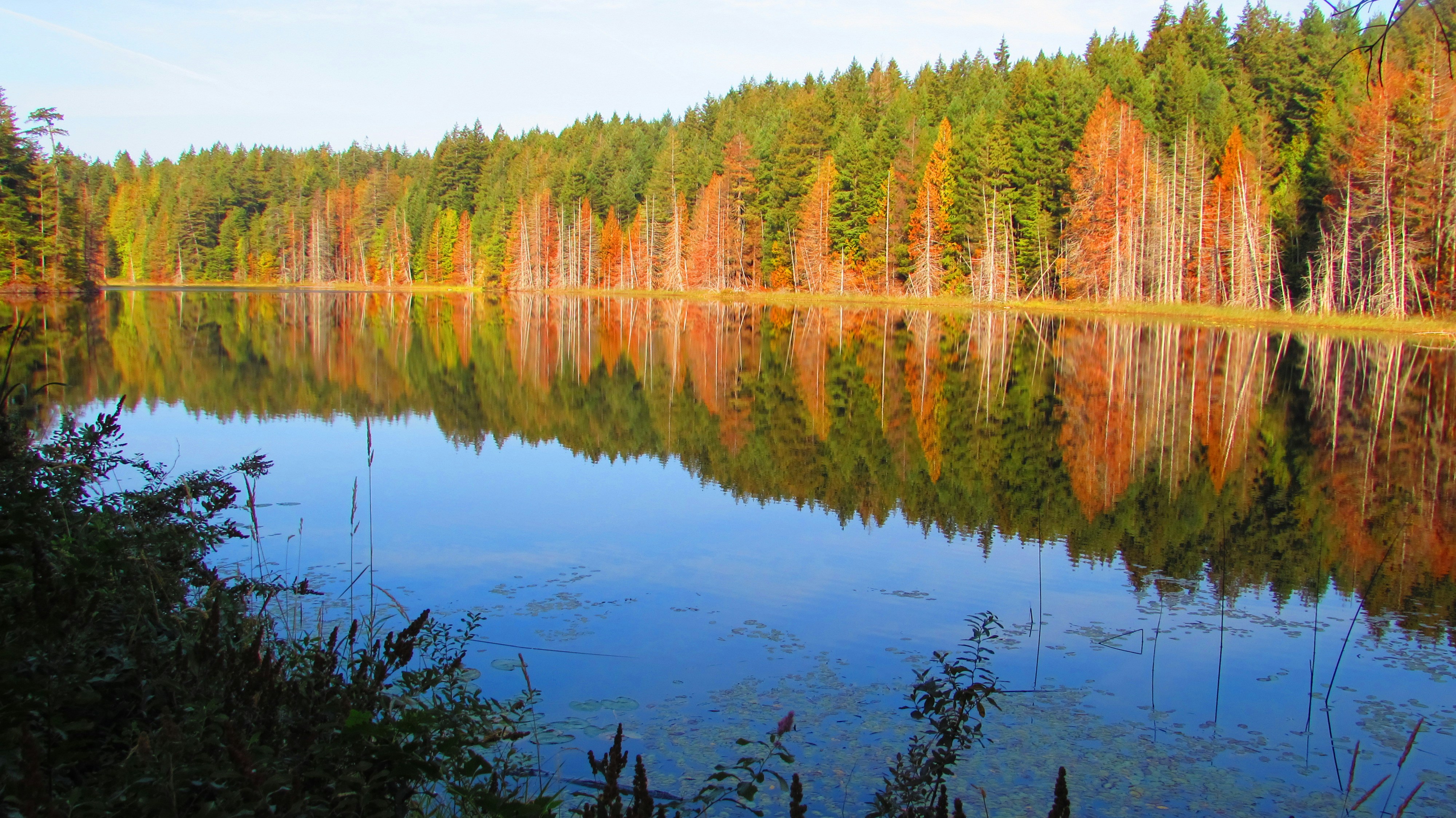 Photo by toomuchfire