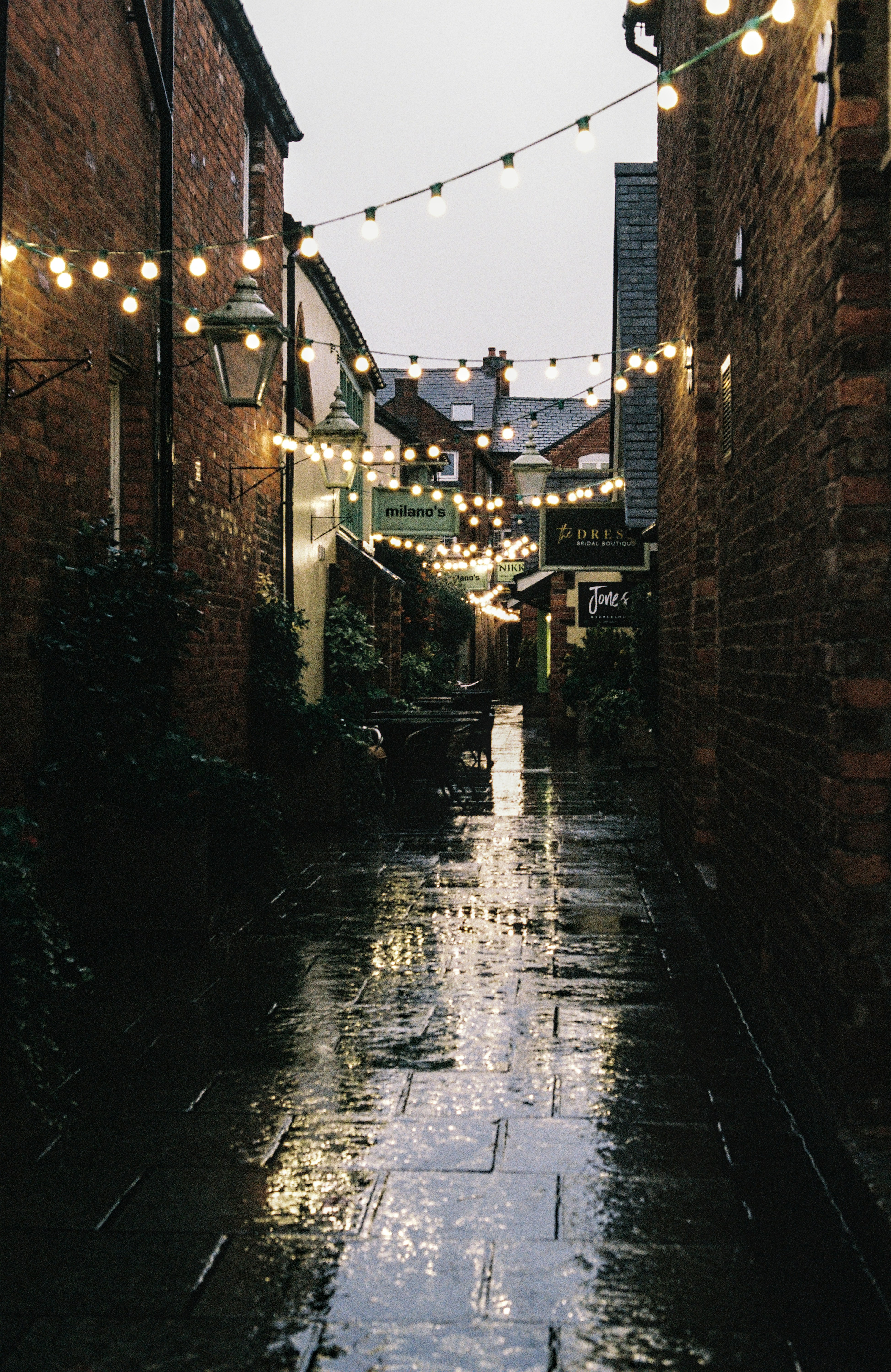String lights illuminate a wet alleyway at dusk.