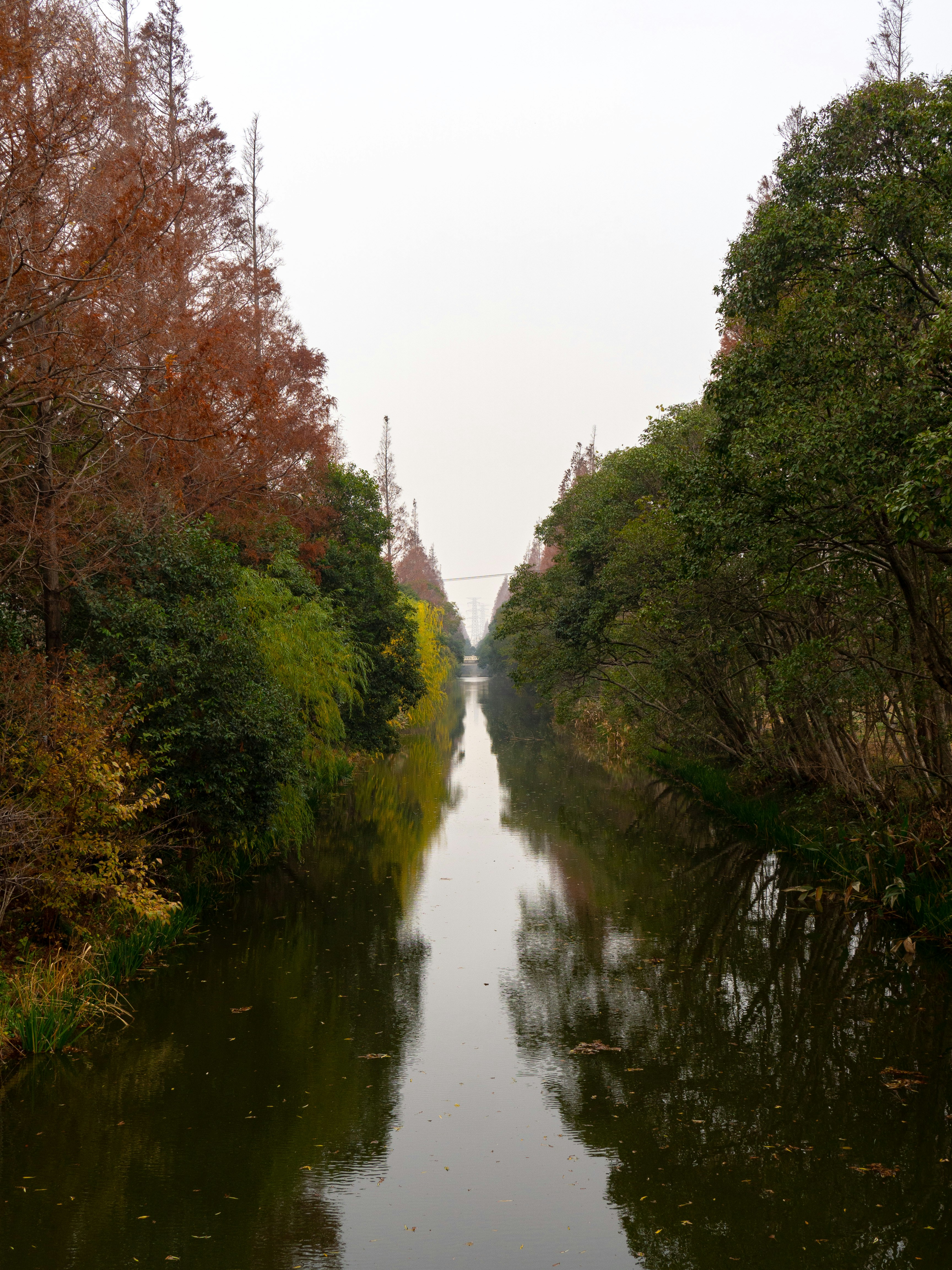 Photo by siriusharrison