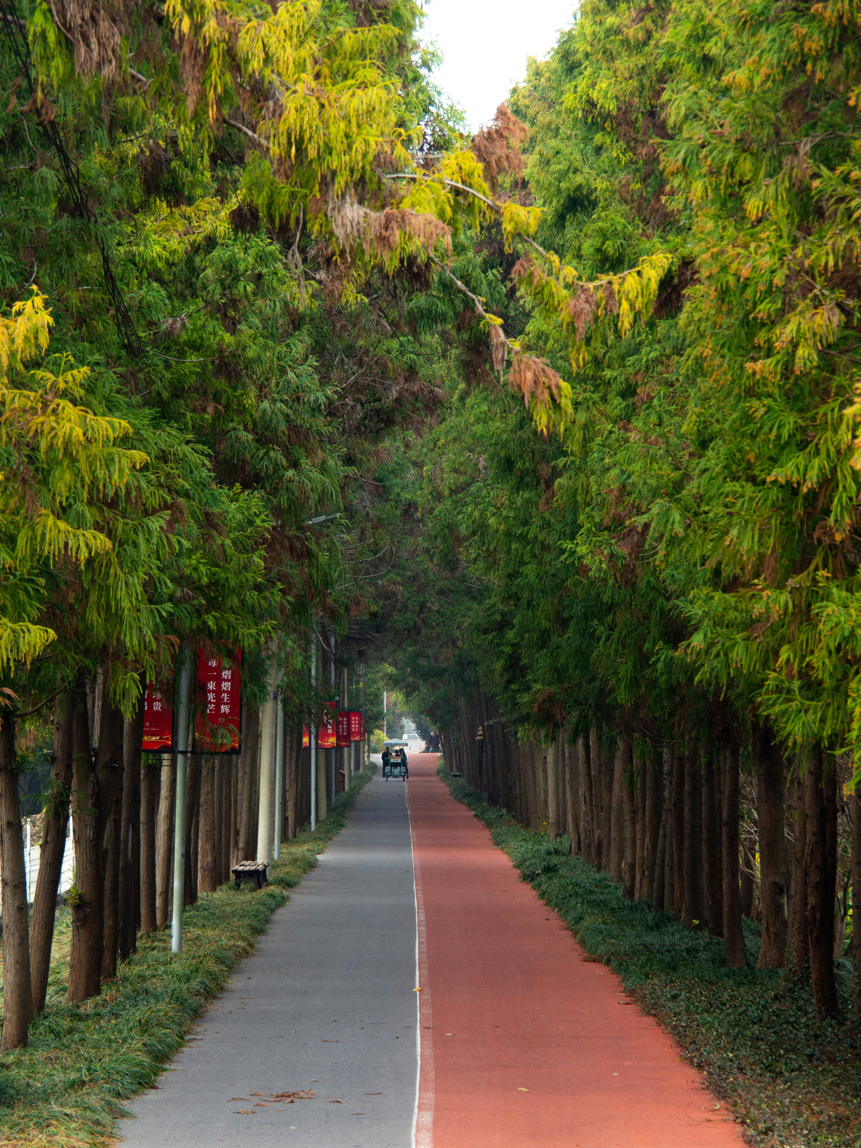 Photo by siriusharrison