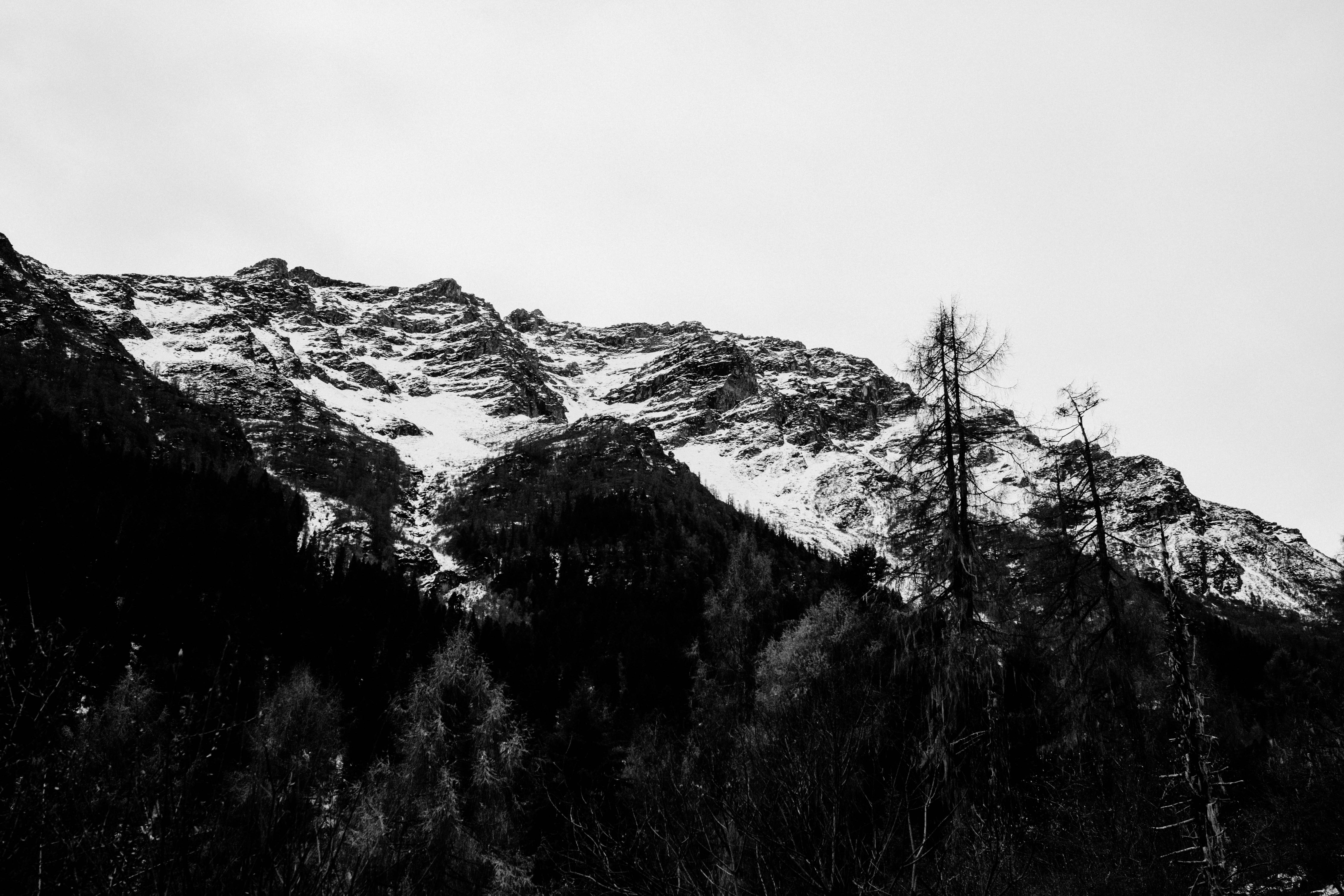 Photo by xingchenyan