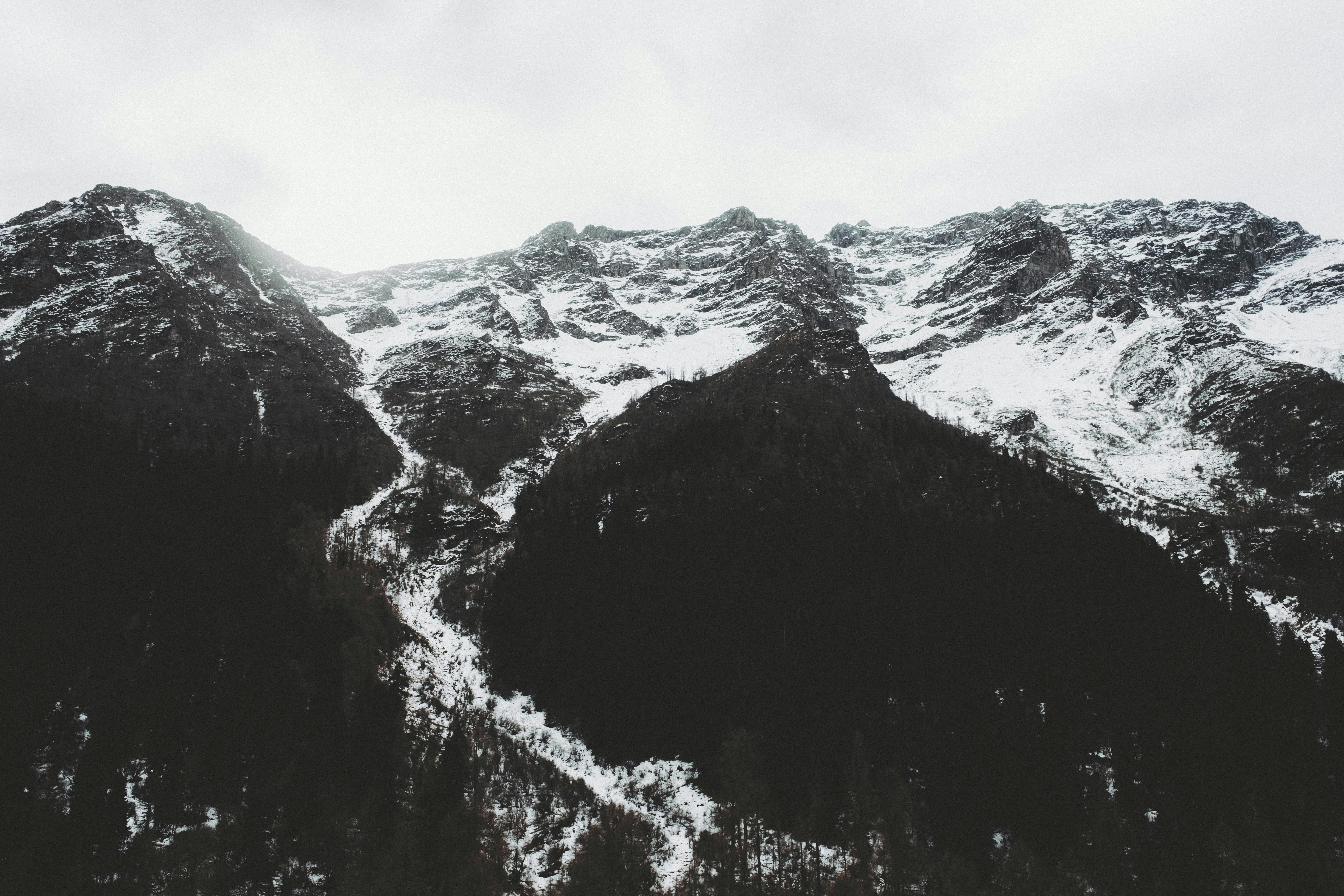 Montañas cubiertas de nieve con árboles oscuros abajo.