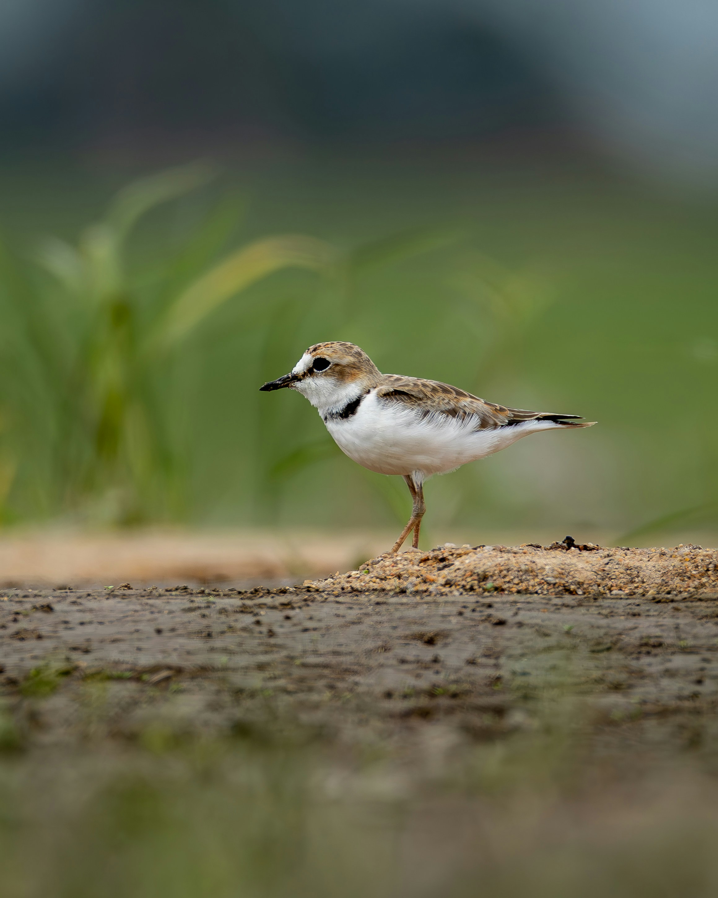 Photo by matheuskprot