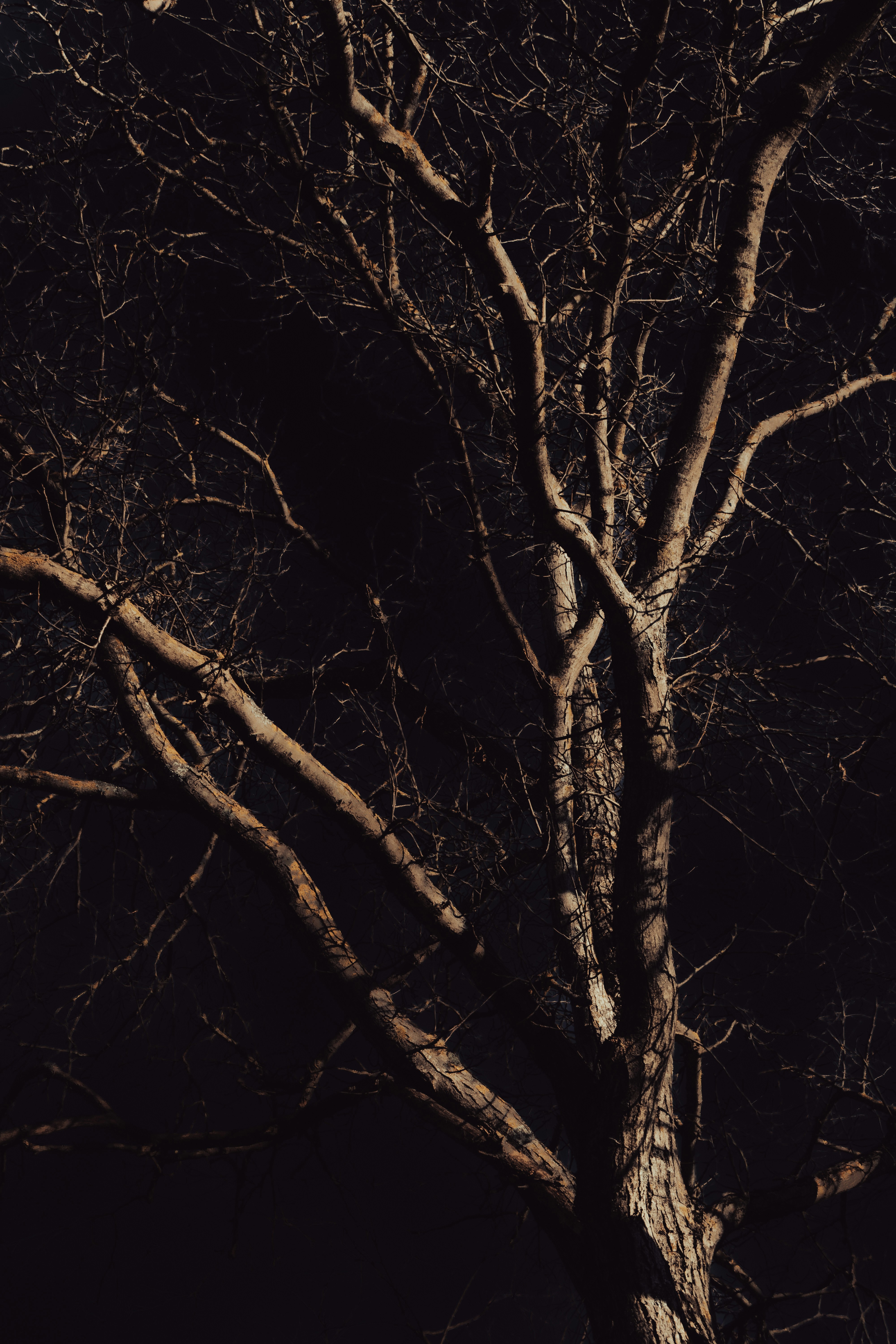 Photo by aelinaphotography