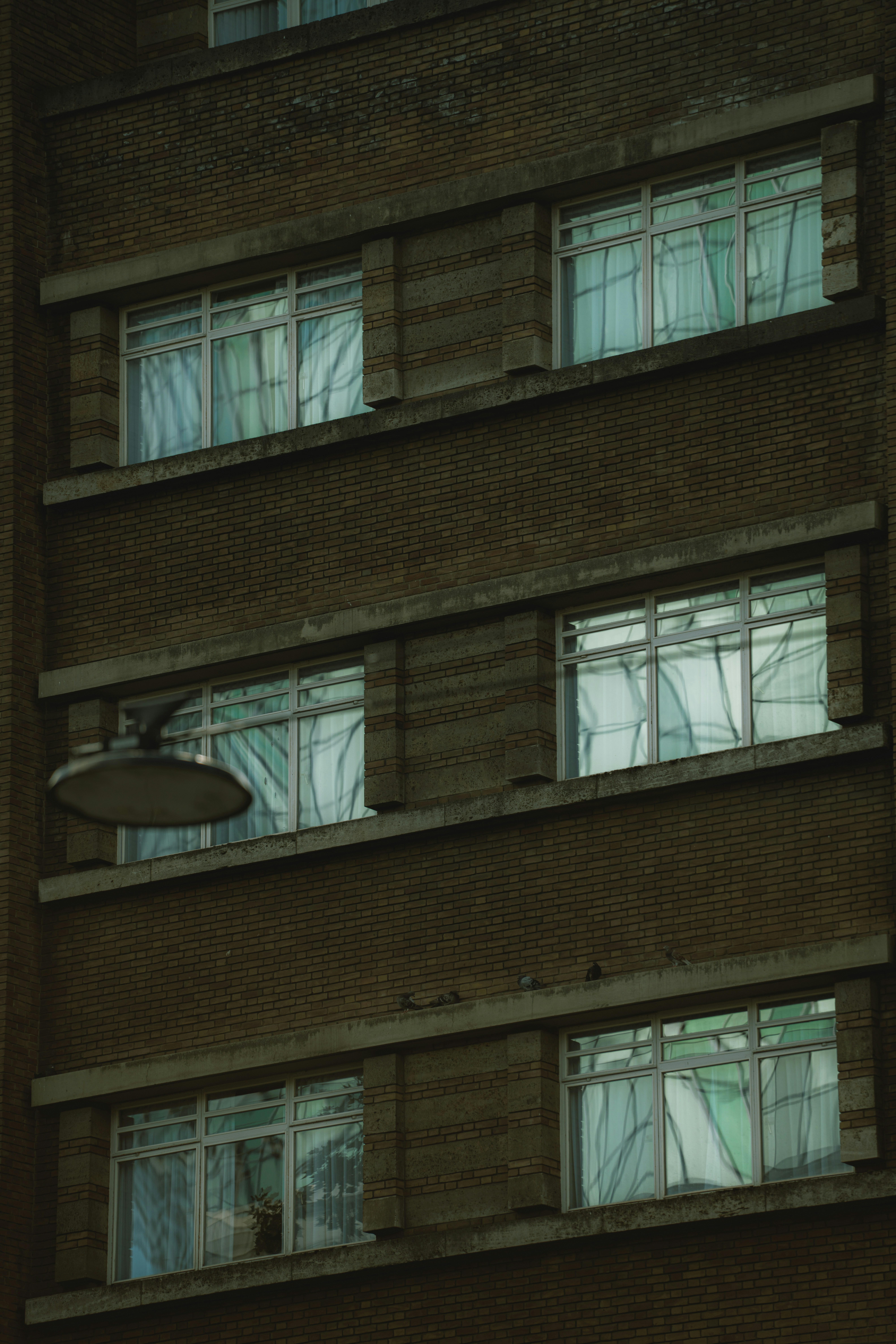Windows with curtains on a brick building