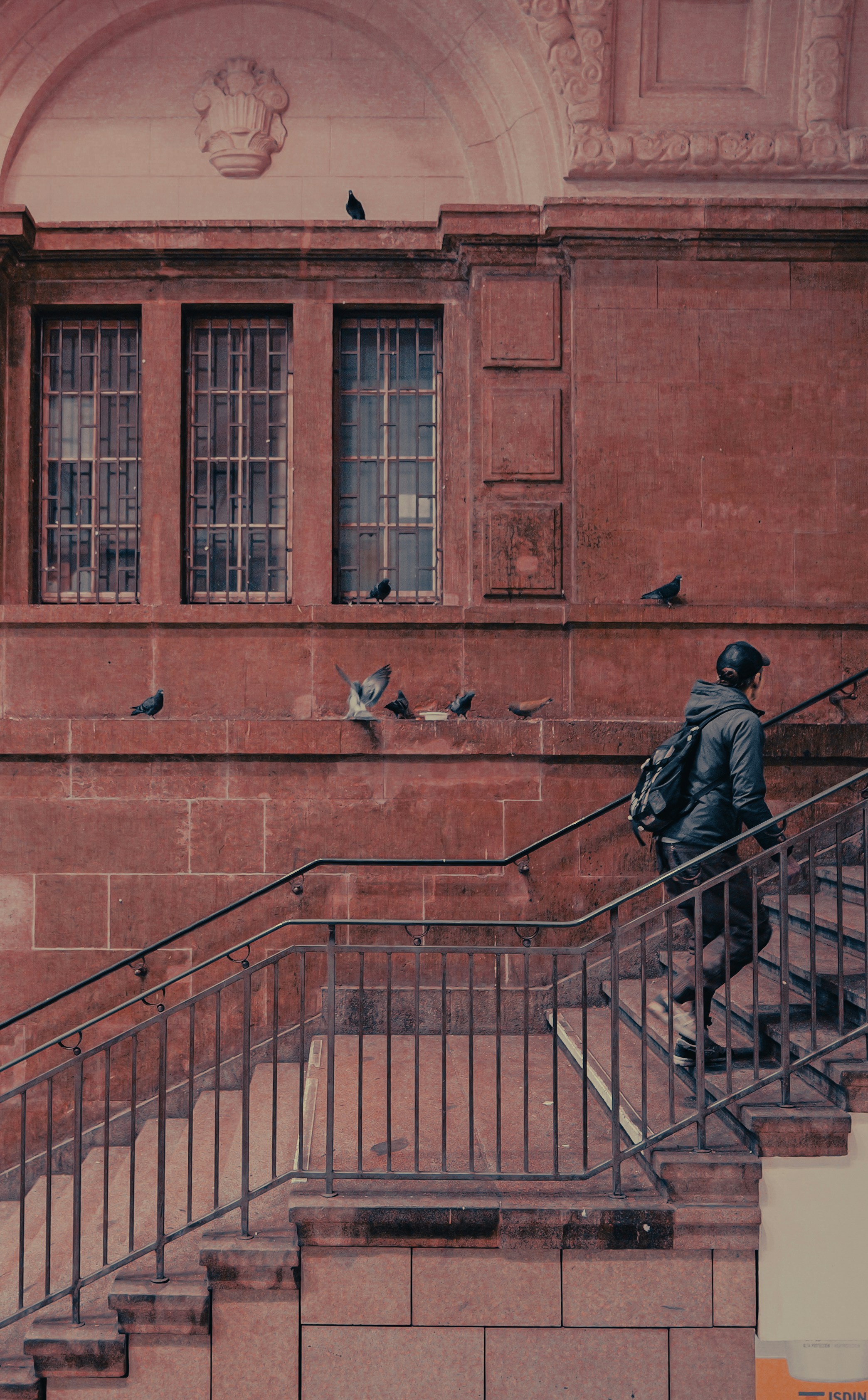 Man with backpack climbs stairs next to pigeons. - man-with-backpack-climbs-stairs-next-to-pigeons-dC9MyyIaG9Q