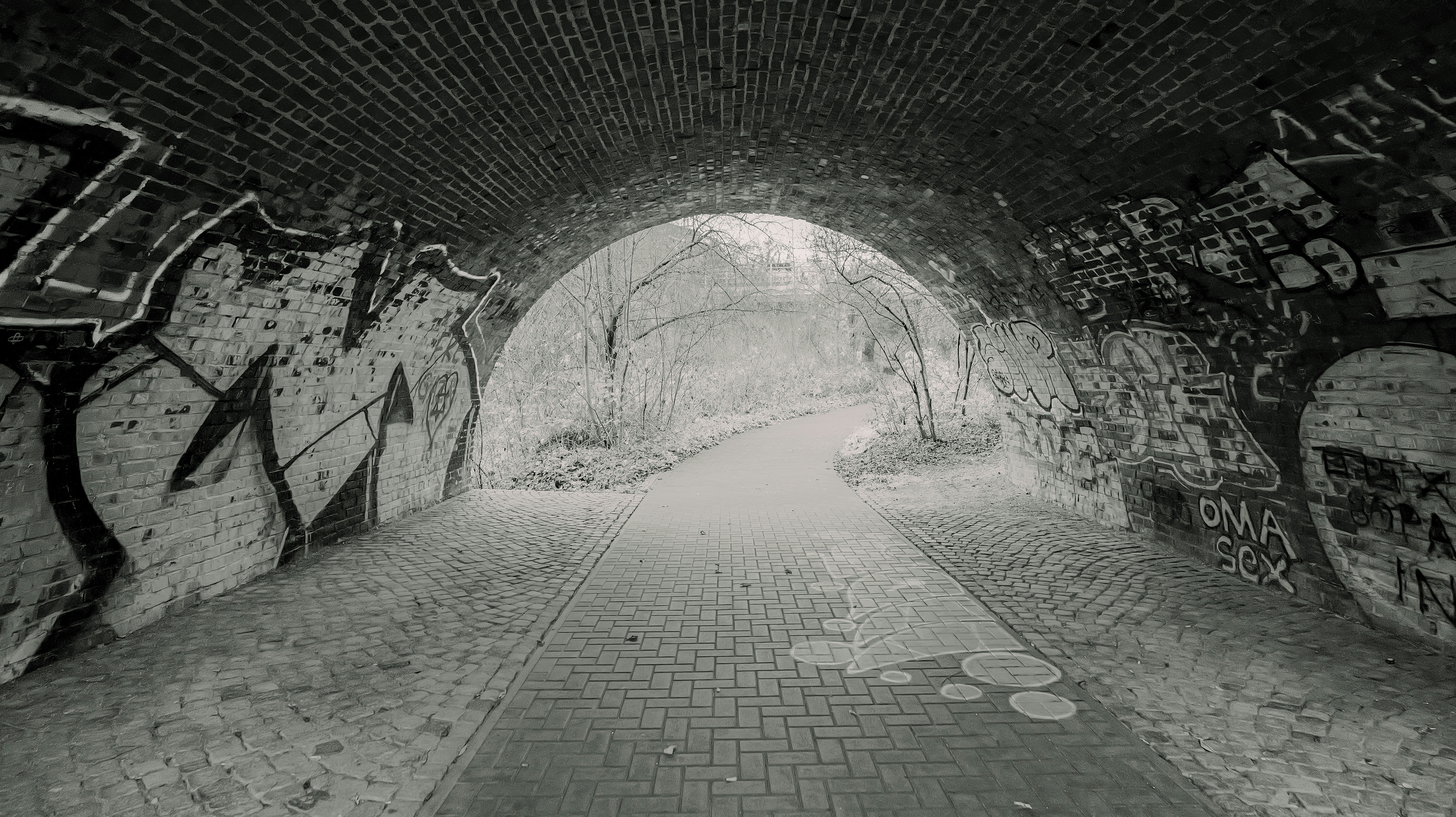 Graffiti-covered tunnel with a path leading forward - graffiti-covered-tunnel-with-a-path-leading-forward-akigvnk1EYk