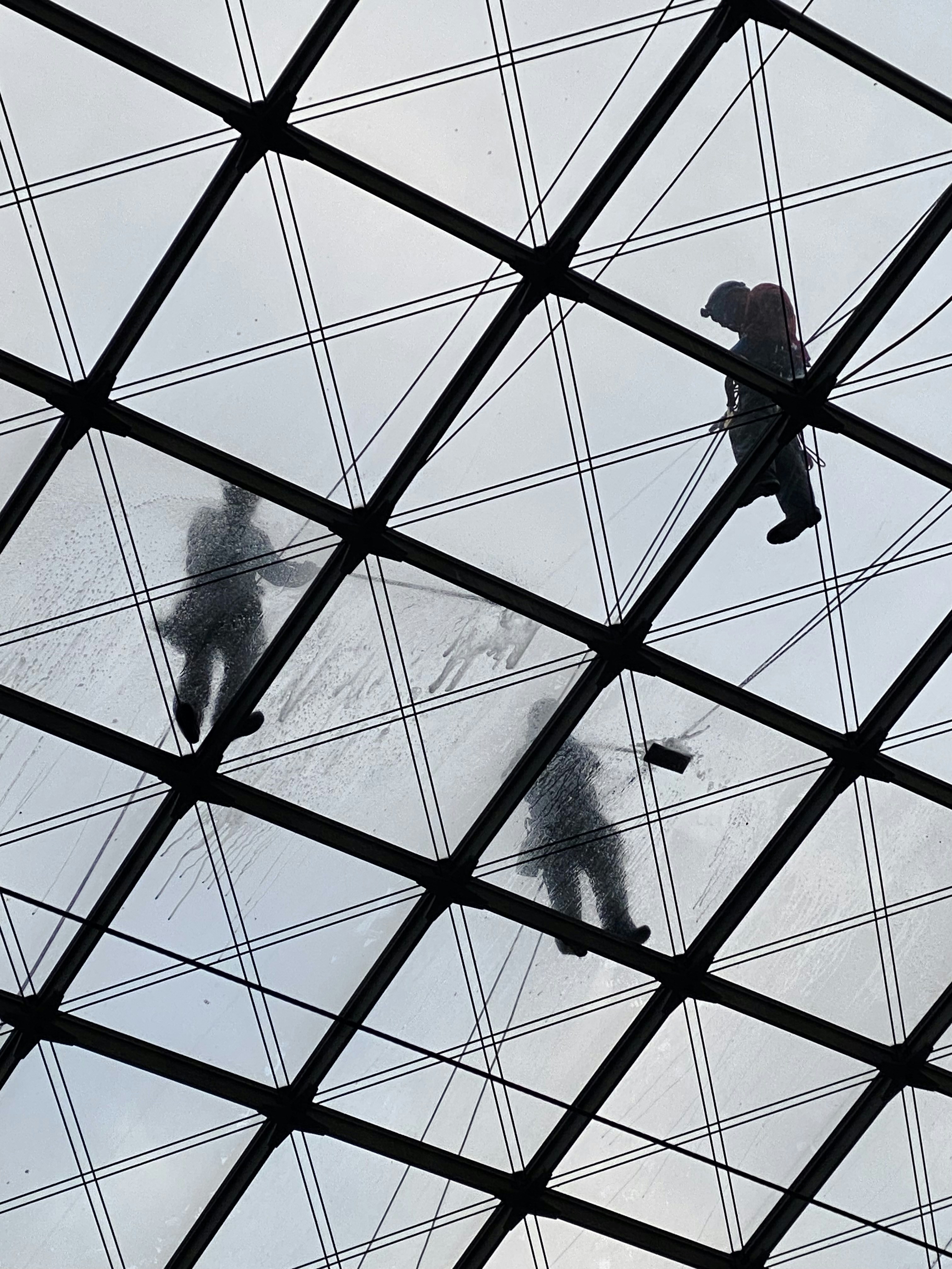 Silhouettes of window cleaners on a glass ceiling.