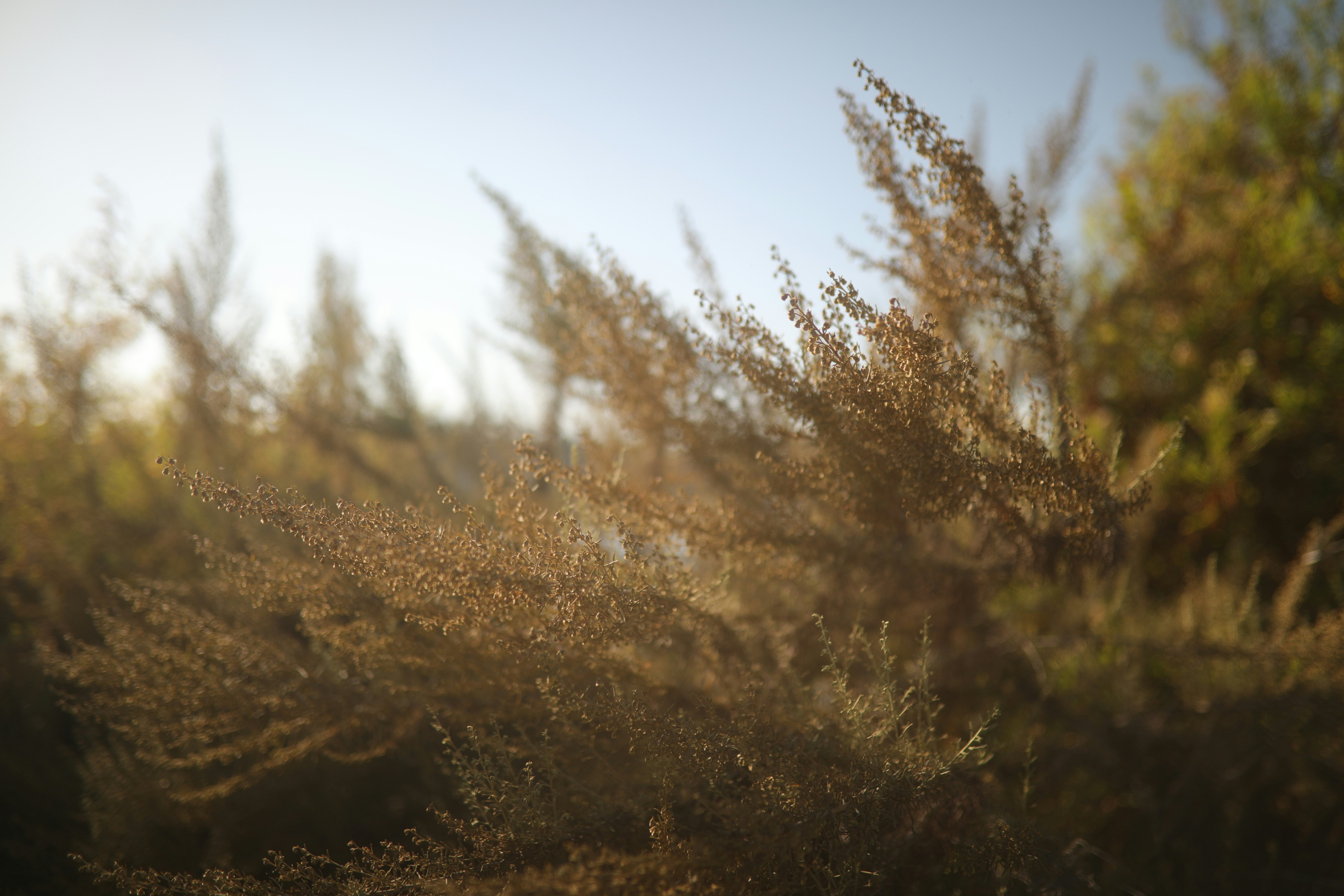 Photo by visualcraftsman