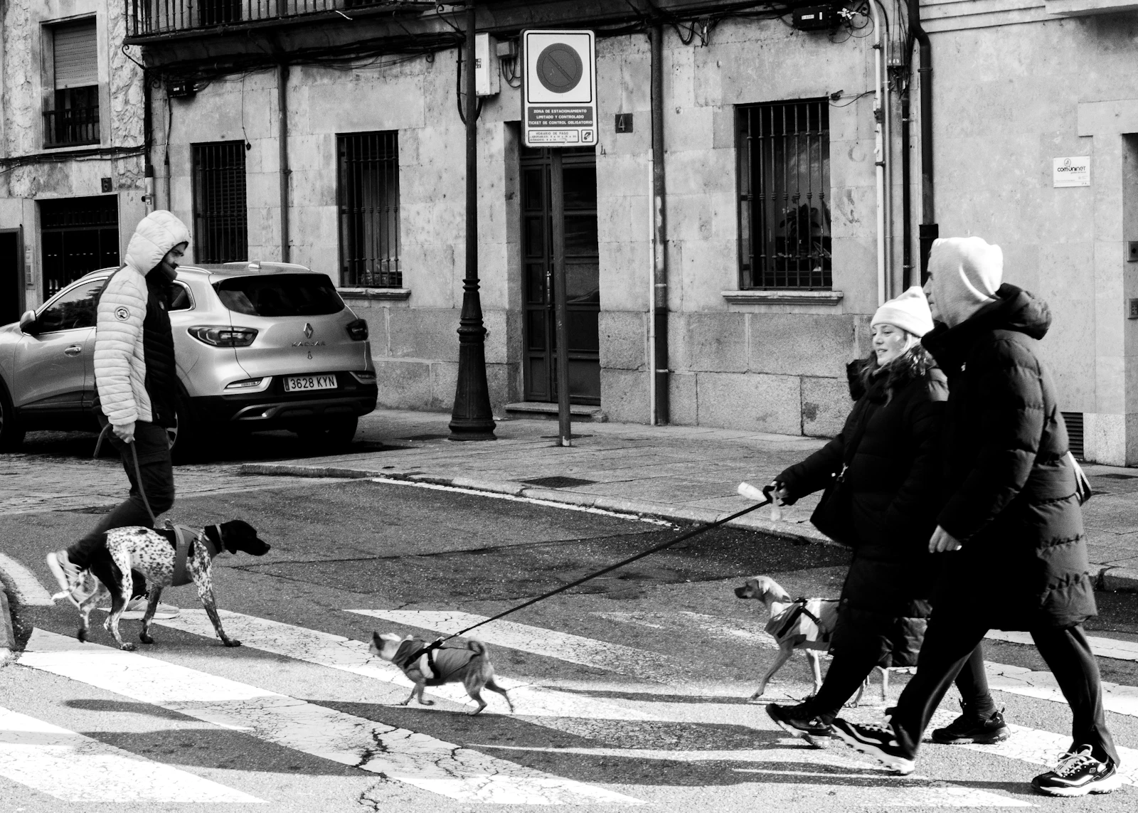 Varias personas cruzando un paso de peatones con sus perros atados con correa, en blanco y negro